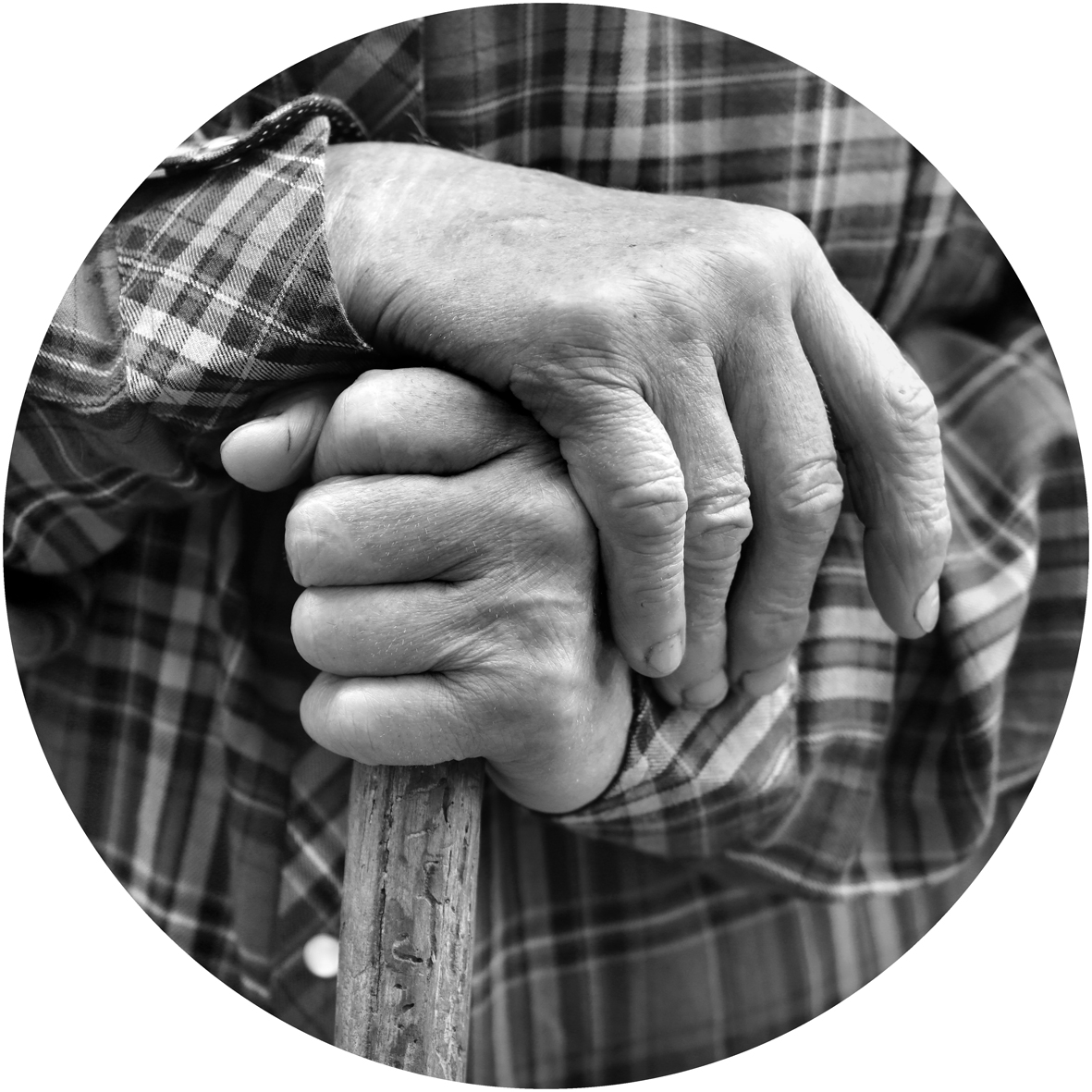 - Jerome Morel Accueil