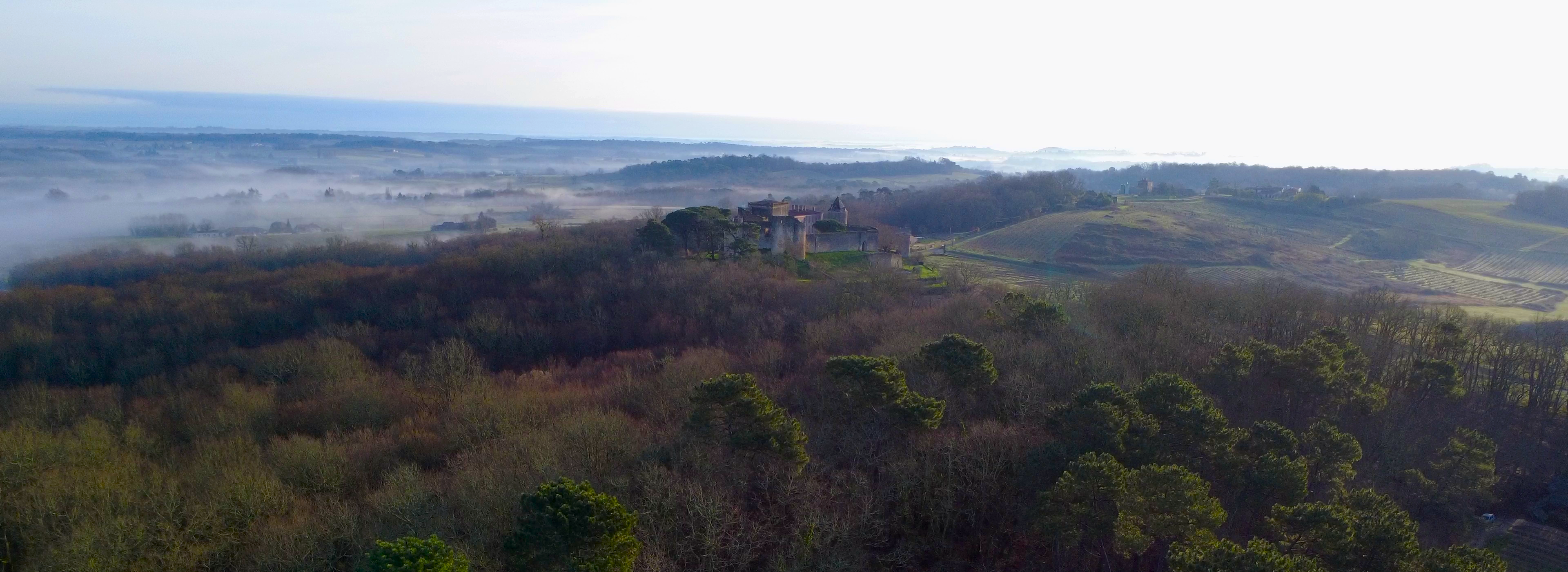 Sur la Route des Vins de l’Entre-deux-Mers : où s’arrêter ?