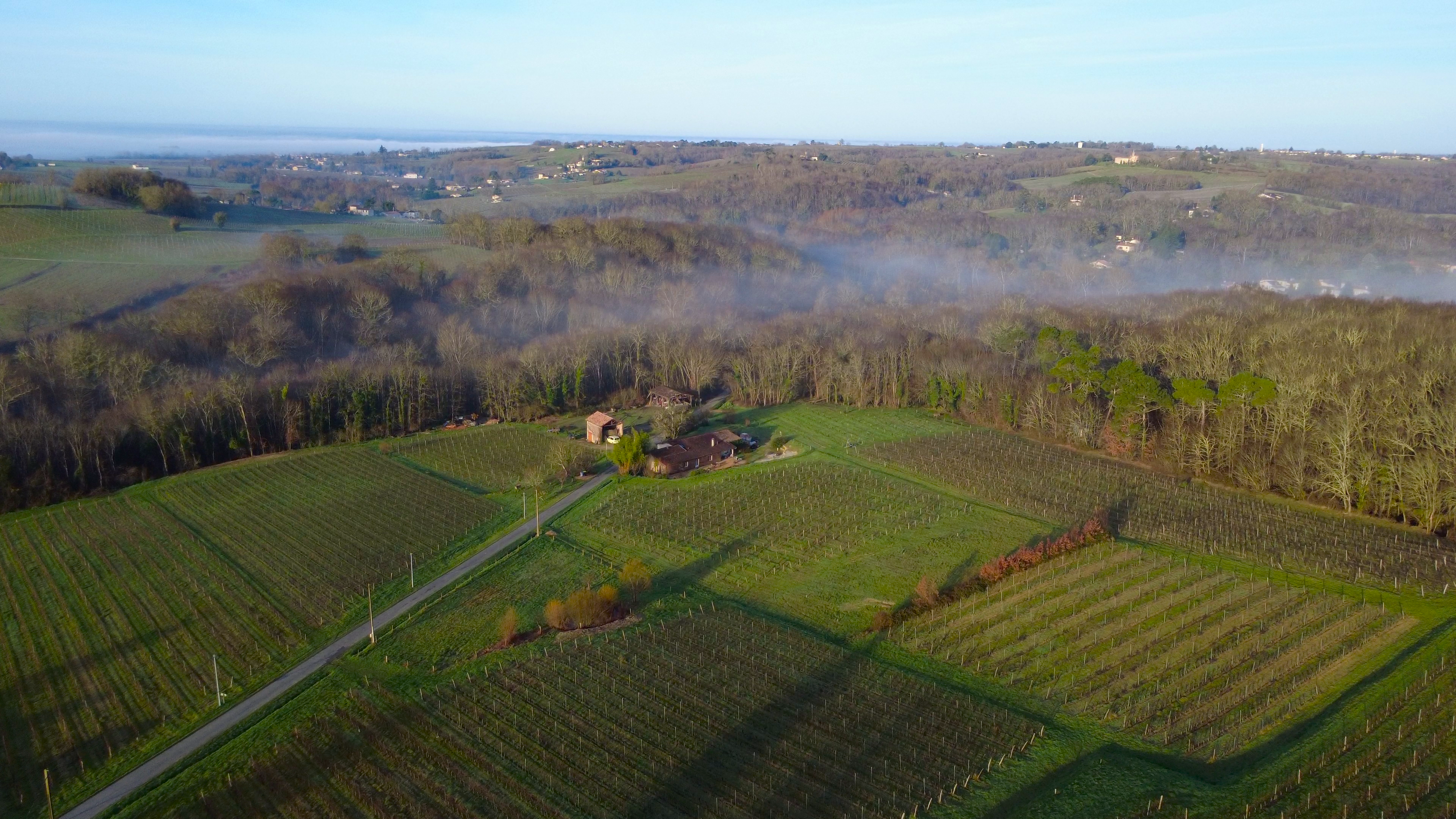 gamme de vin bio du chateau haut roc