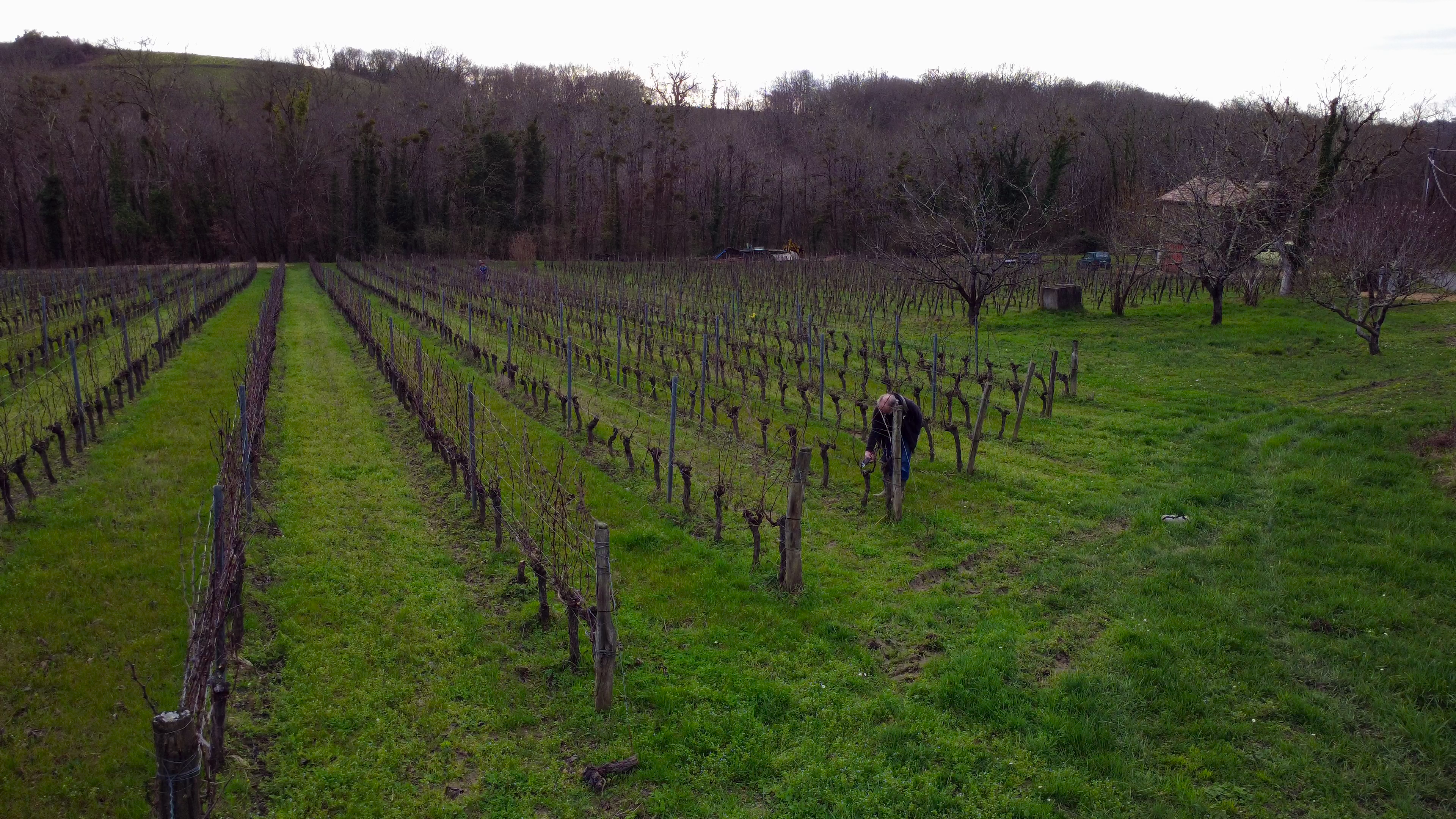 Chateau Haut Roc : un domaine viticole en bio avec rétrospective sur les millesimes depuis 2003