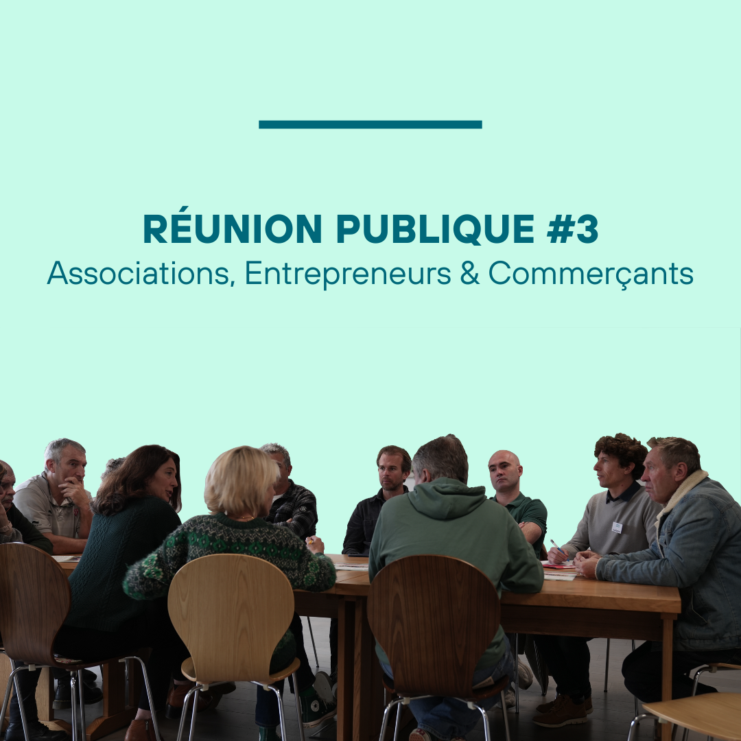 Site reunion publique 3