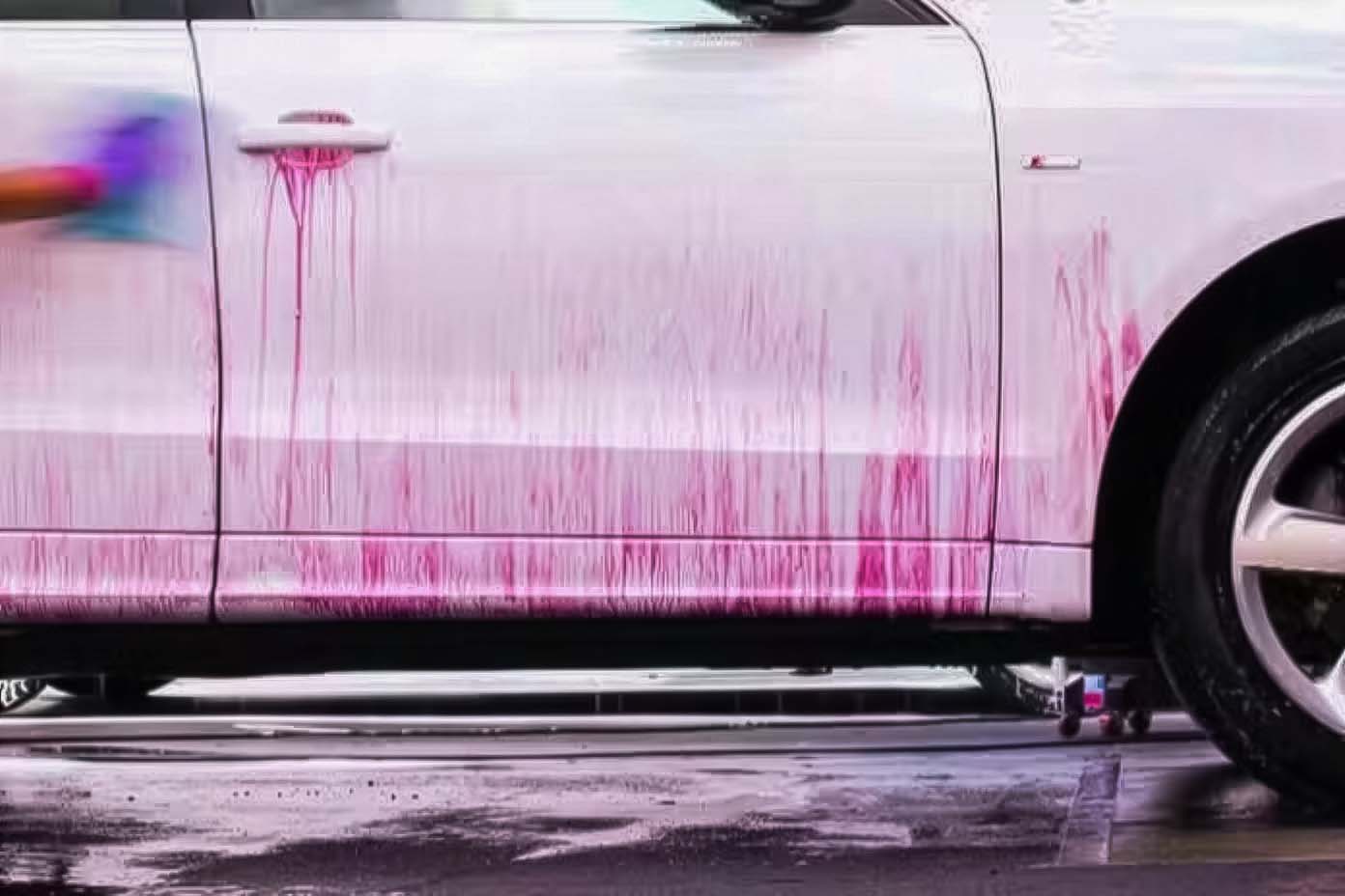 Décontamination