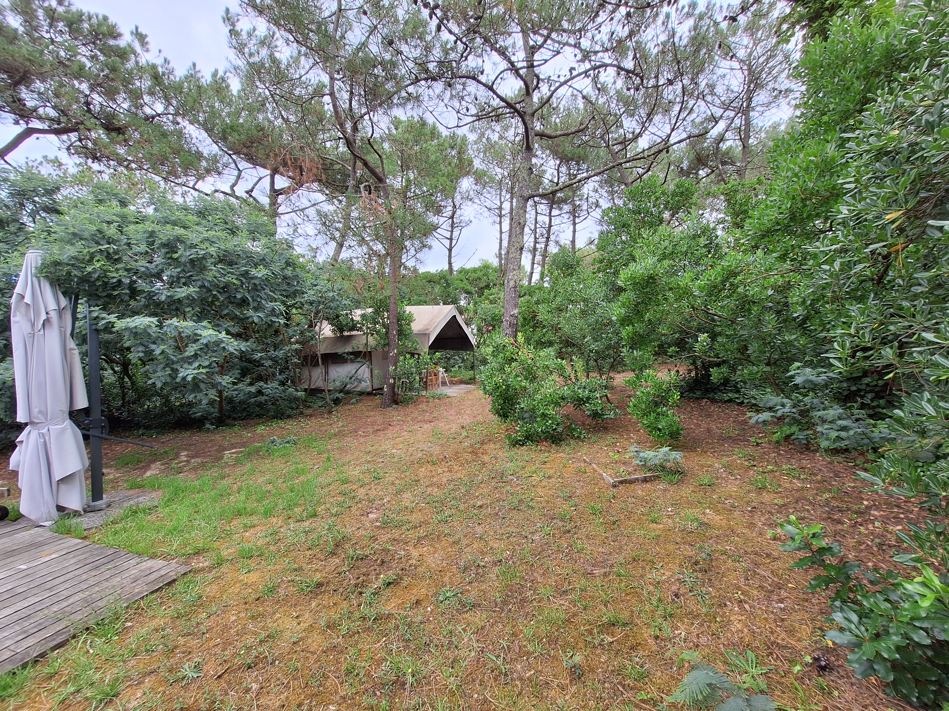 Renan montoir architecte lege cap ferret ares andernos les bains 14 