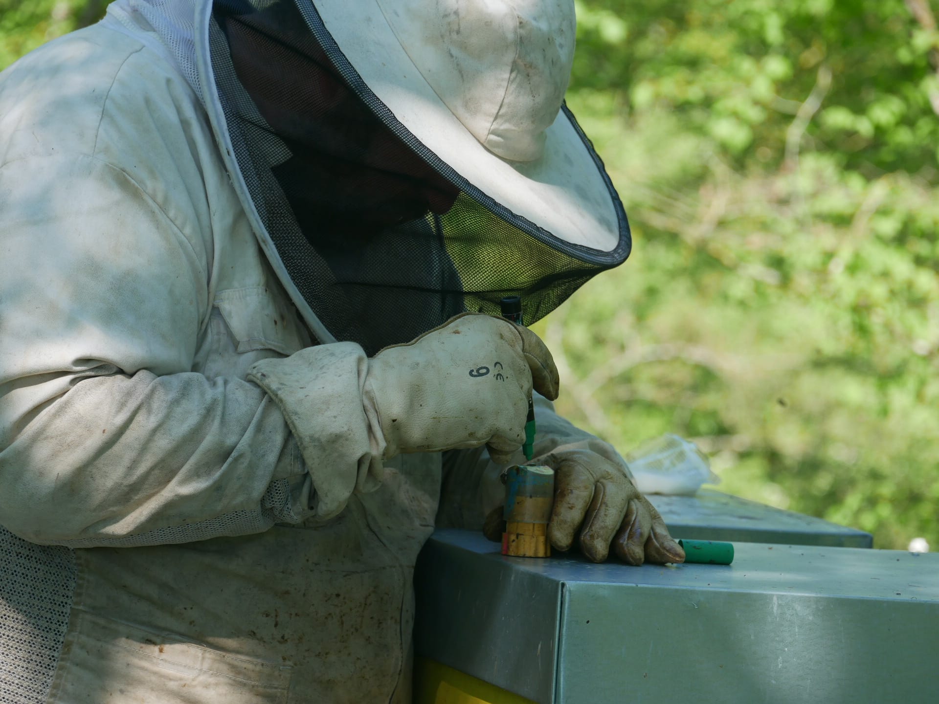 parrainage miel abeilles colline de sion apiculture agriculture formation 