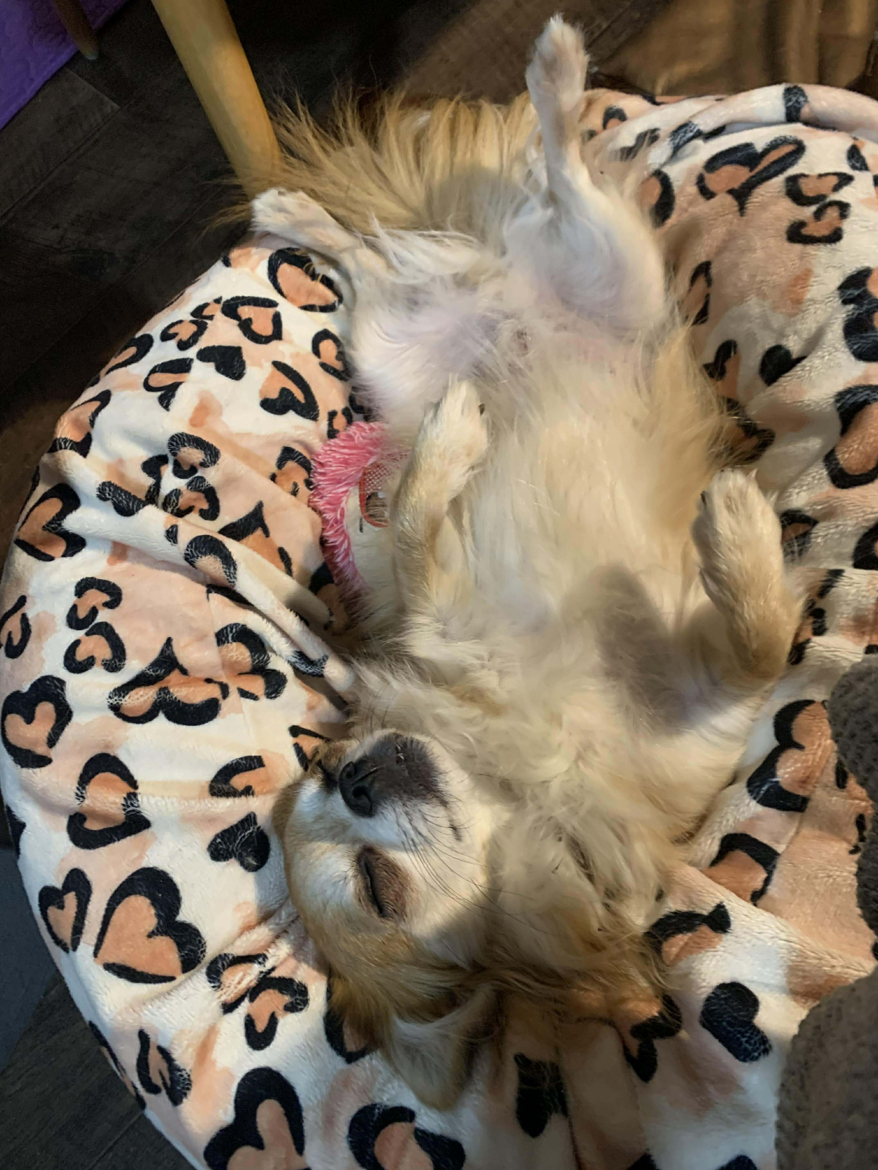 Received 1576134470326955