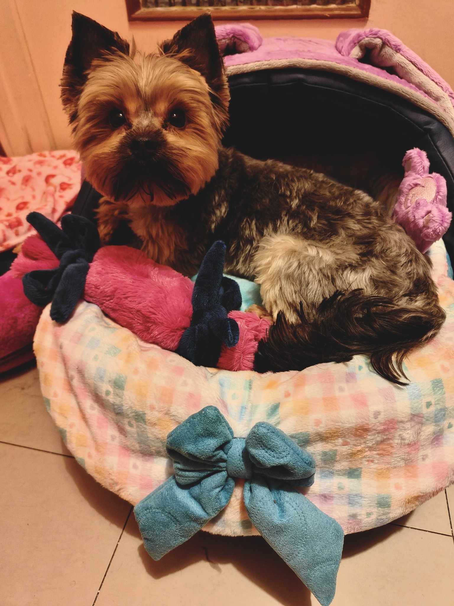 Received 1435067604740784