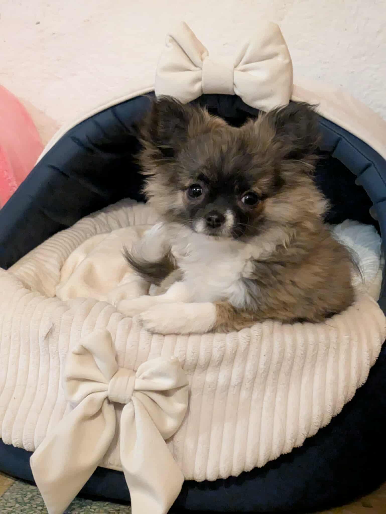 Received 1224914652585762