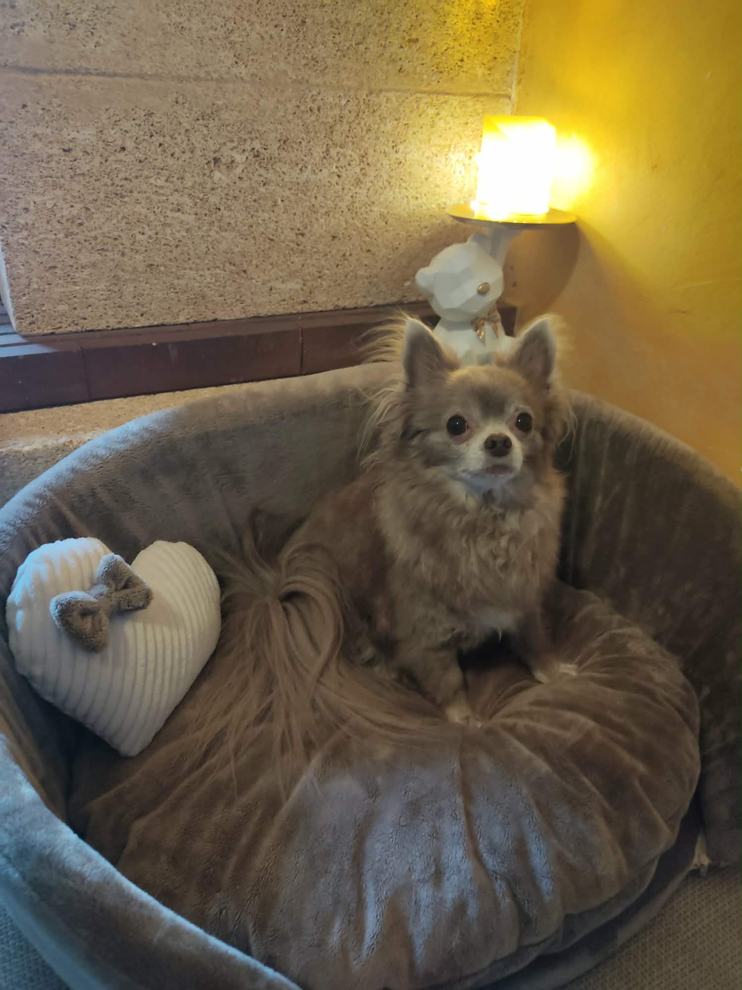 Received 944847351437654