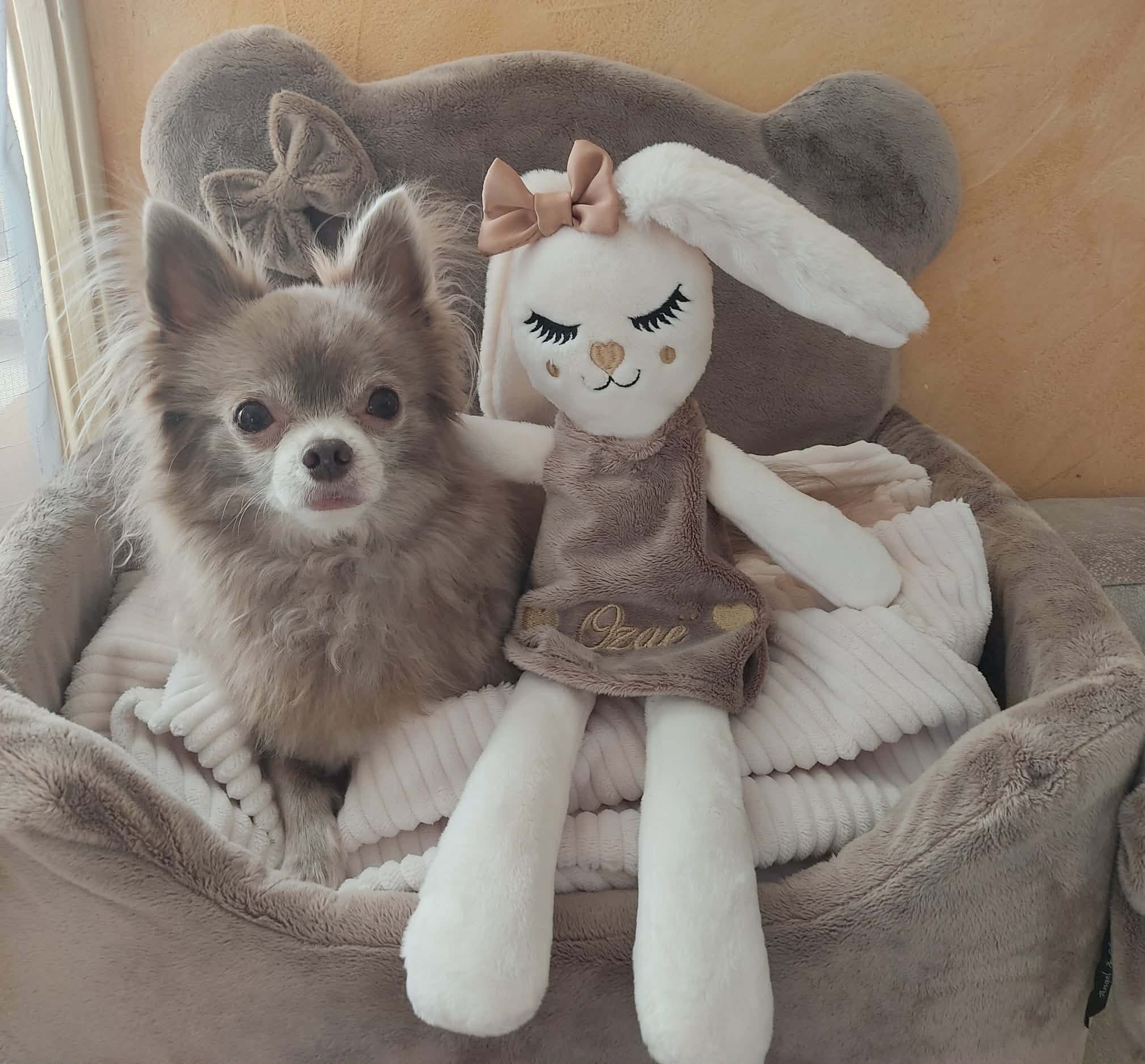 Received 26391130573844392