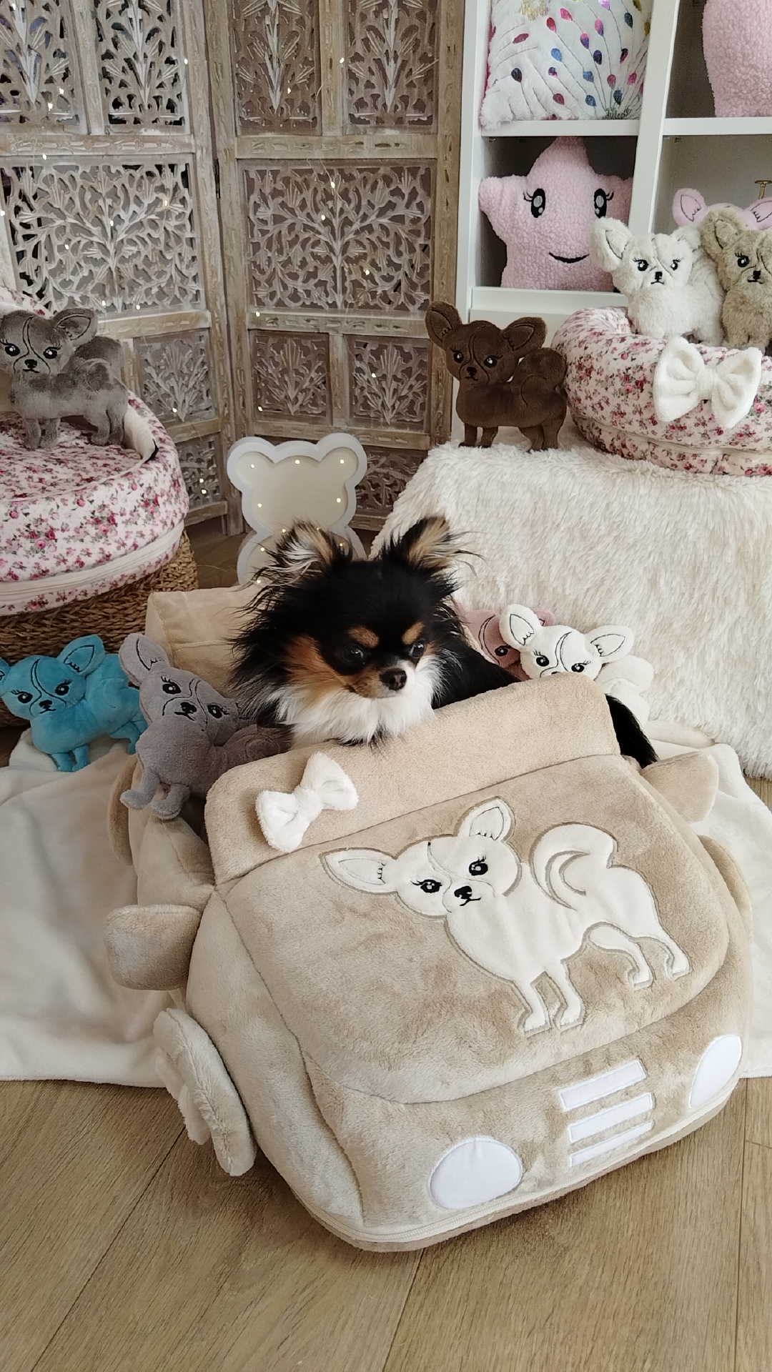 Img 20260220 144021 1