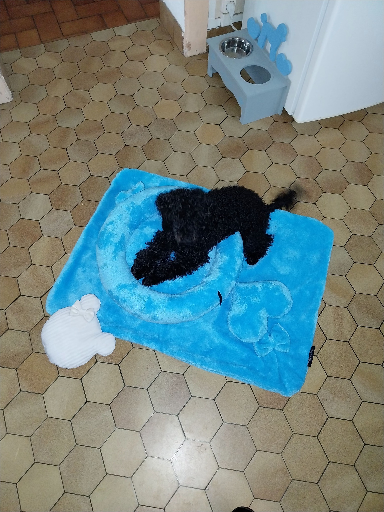 Received 947438734380785