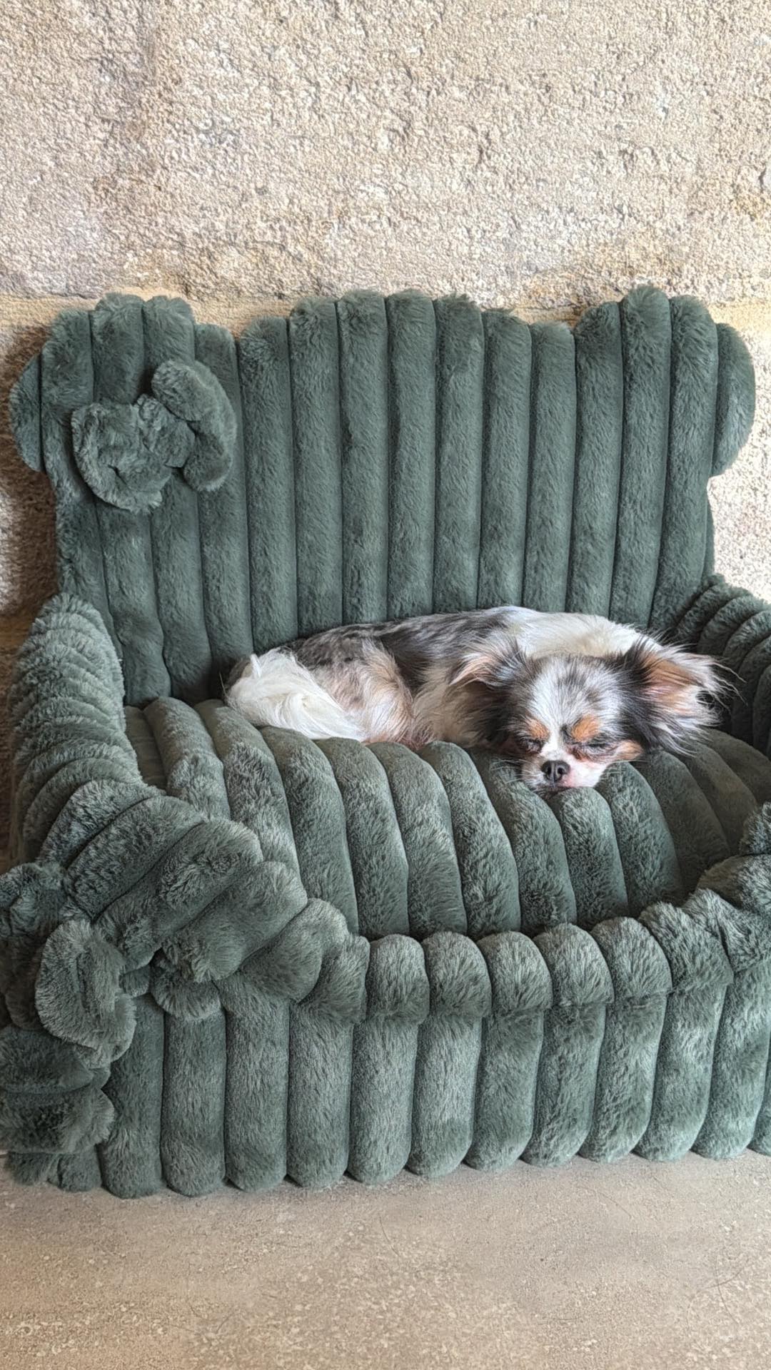 Received 2373023076503986