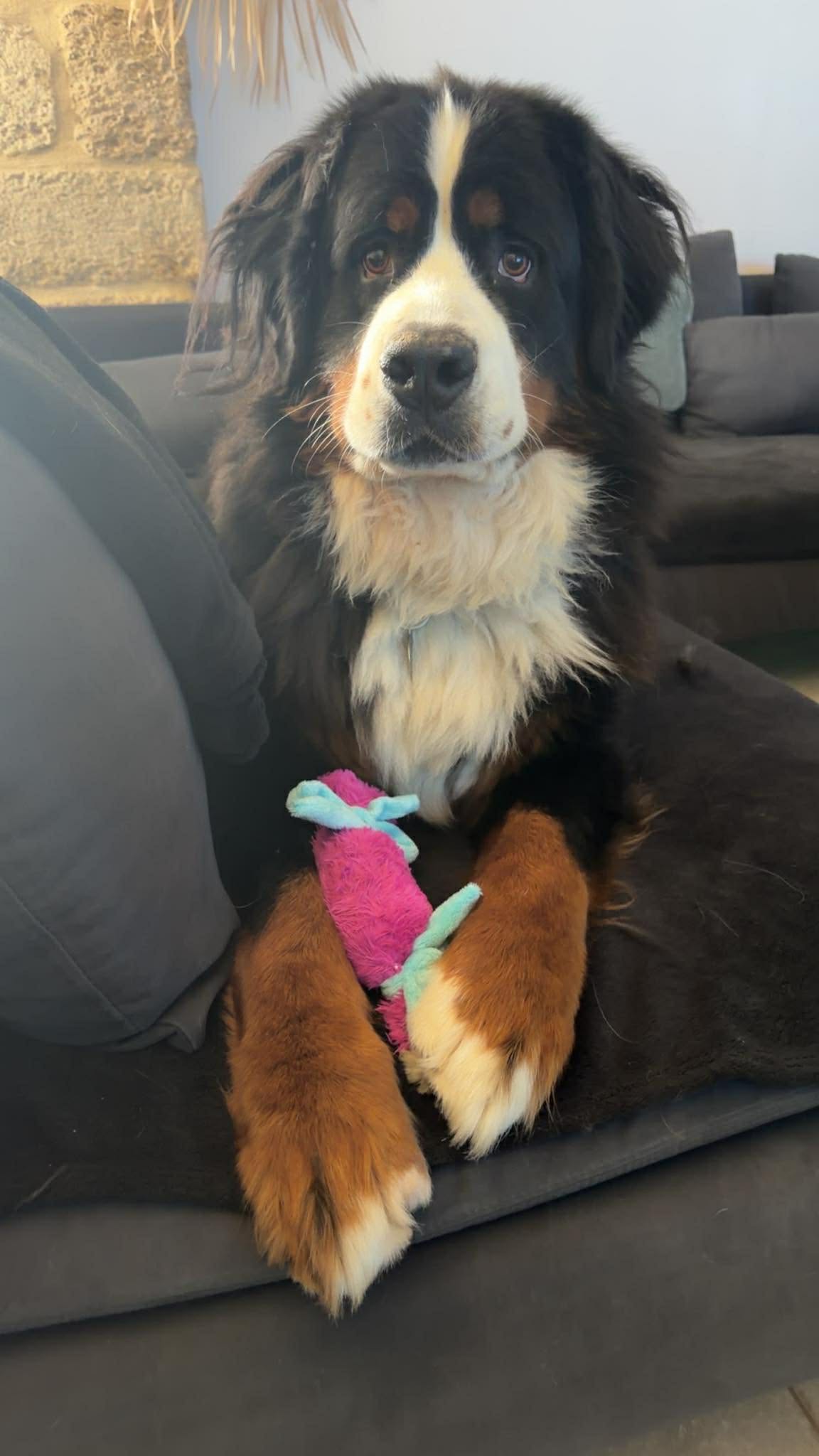 Received 1392058035556577