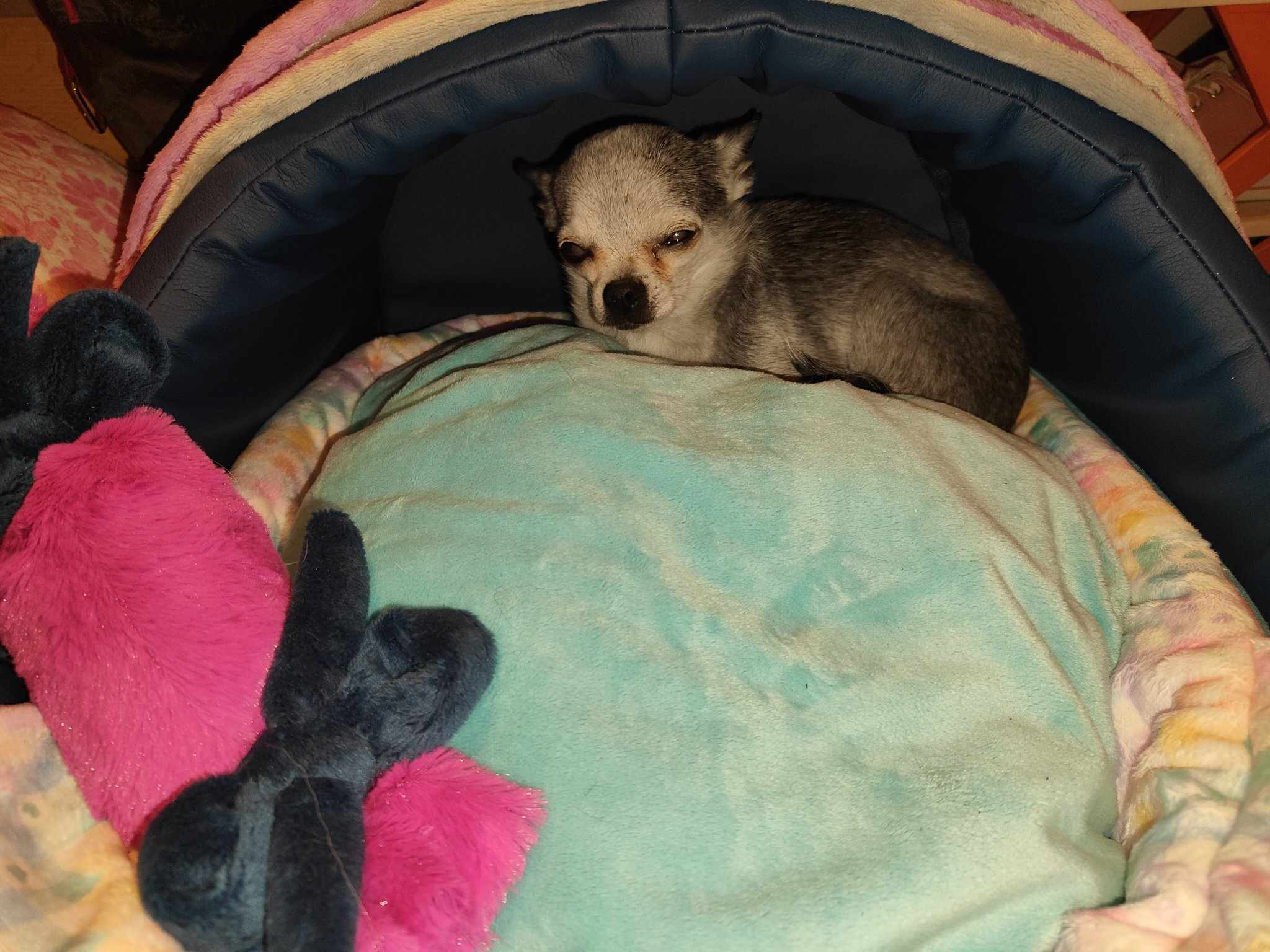 Received 1846187176076800