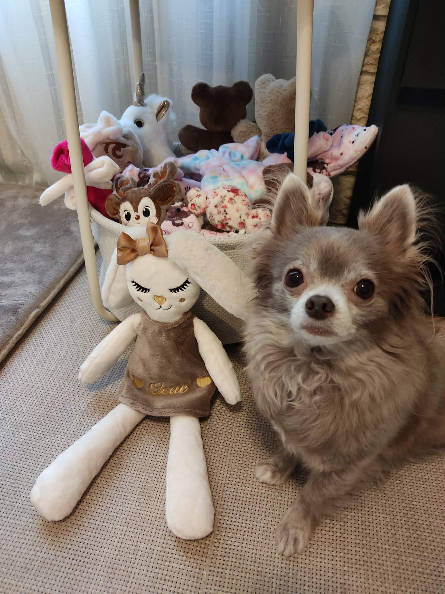 Received 1268209485207662