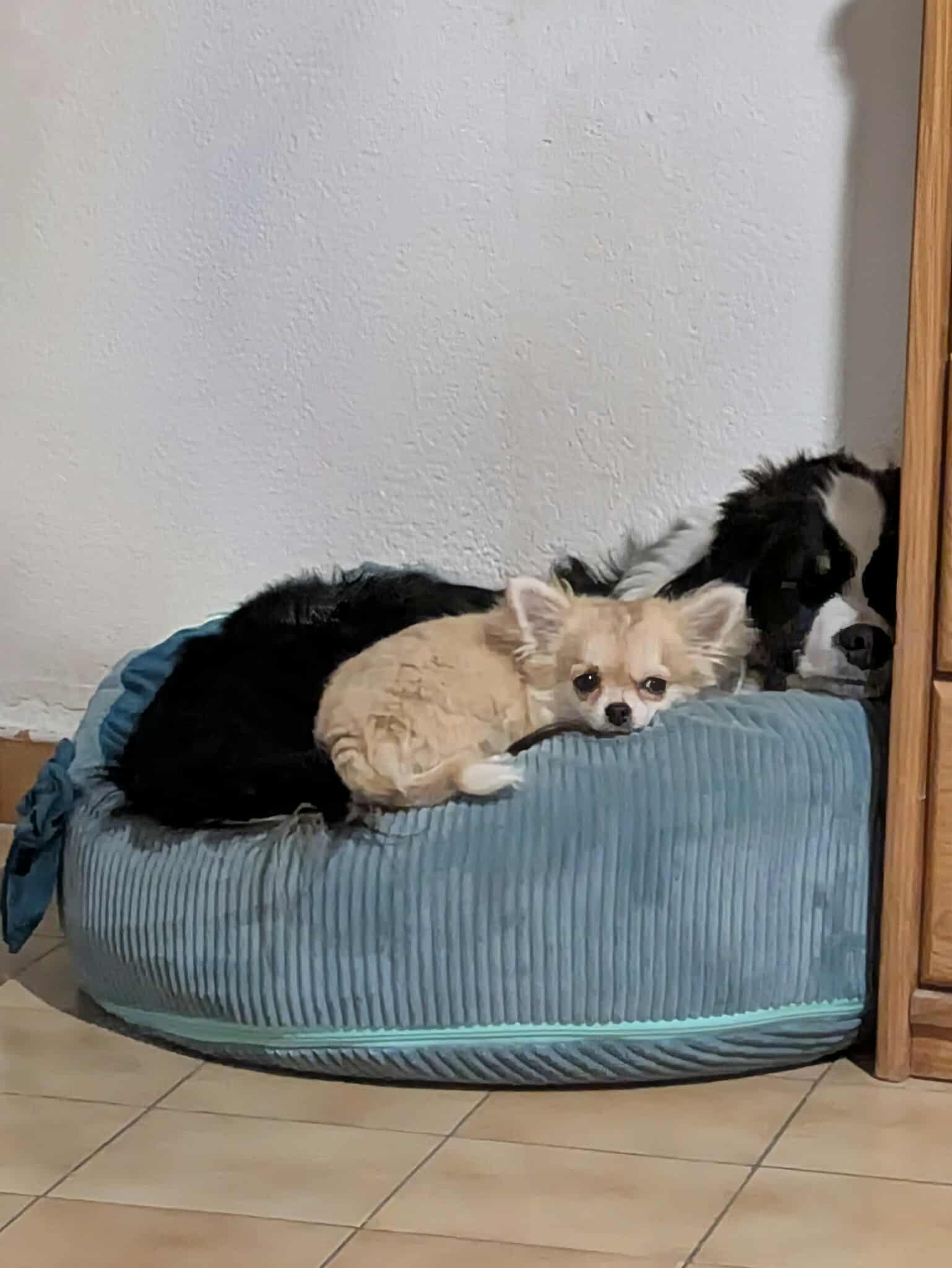 Received 2179090289560452