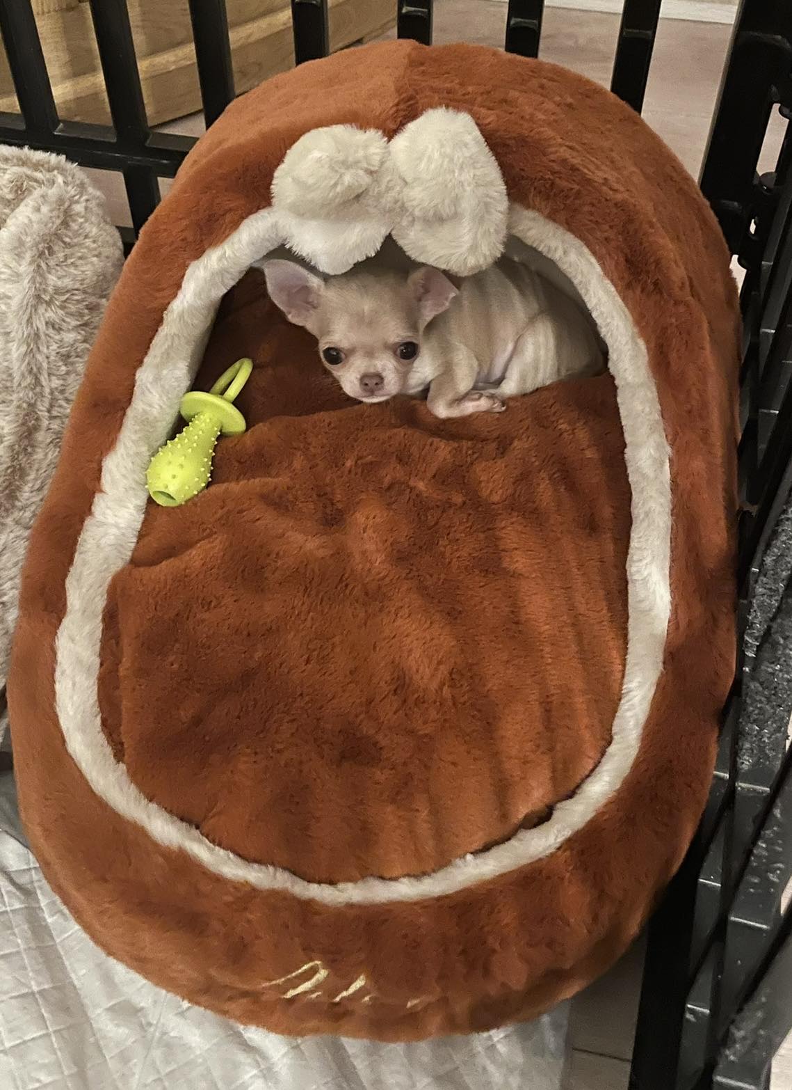 Received 1706226720359697