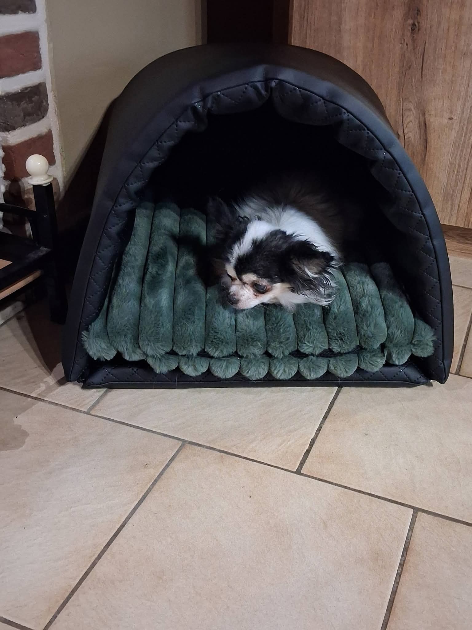 Fb img 1771949437820