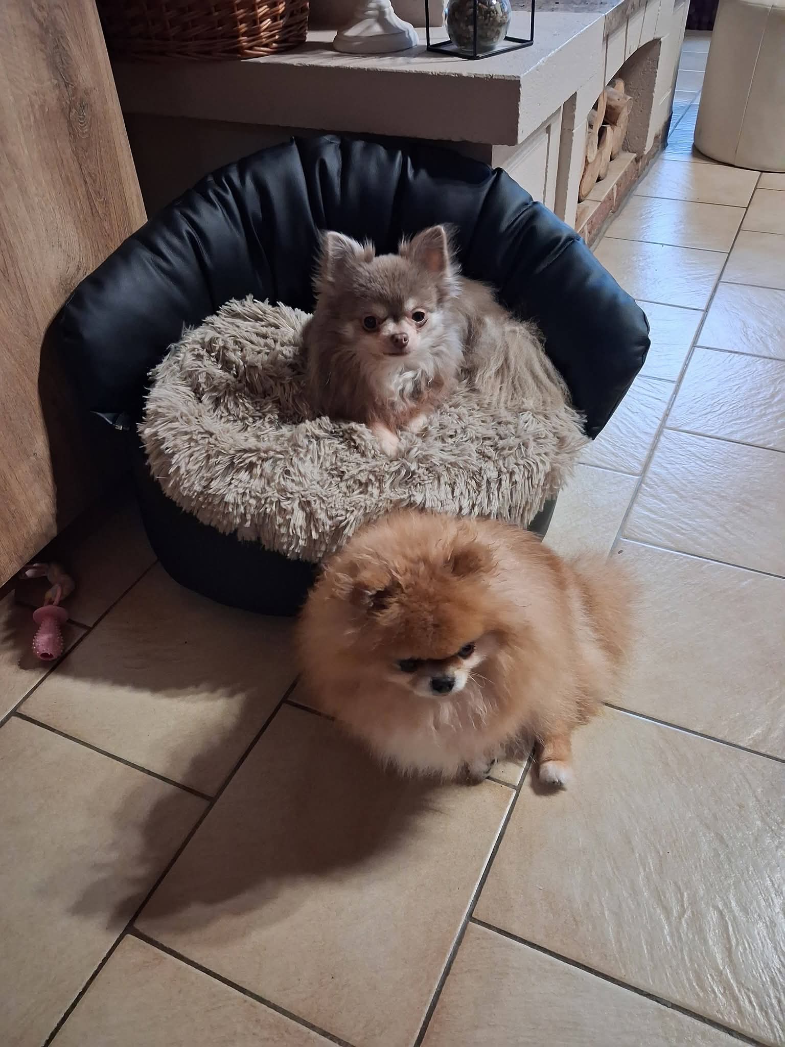 Fb img 1771949434189