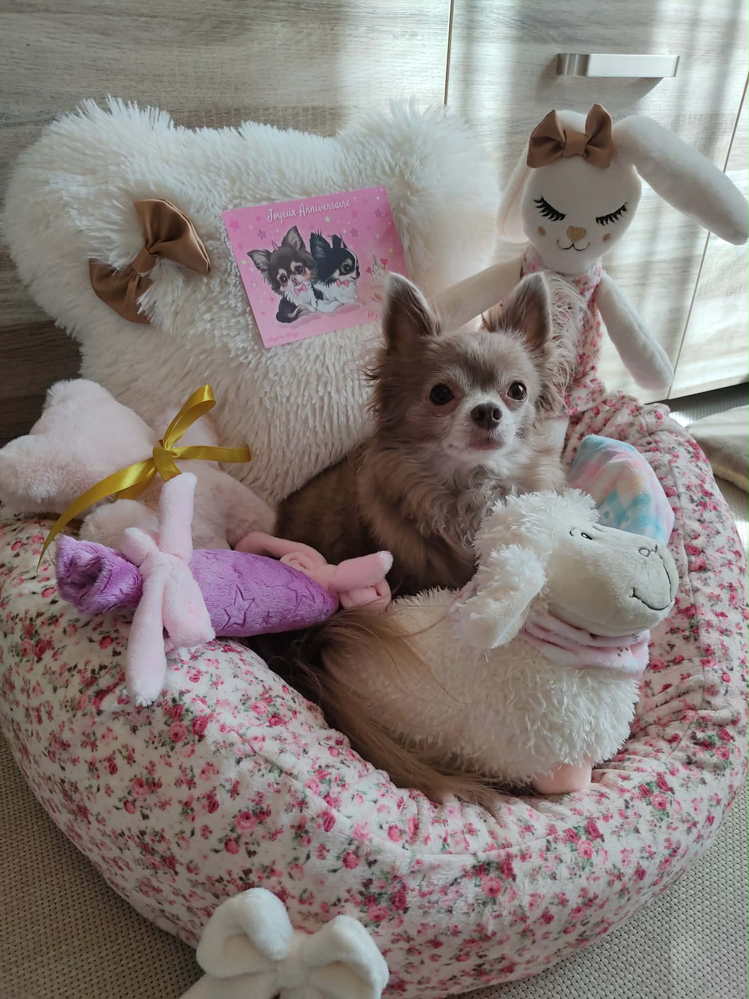 Received 2346814259164744