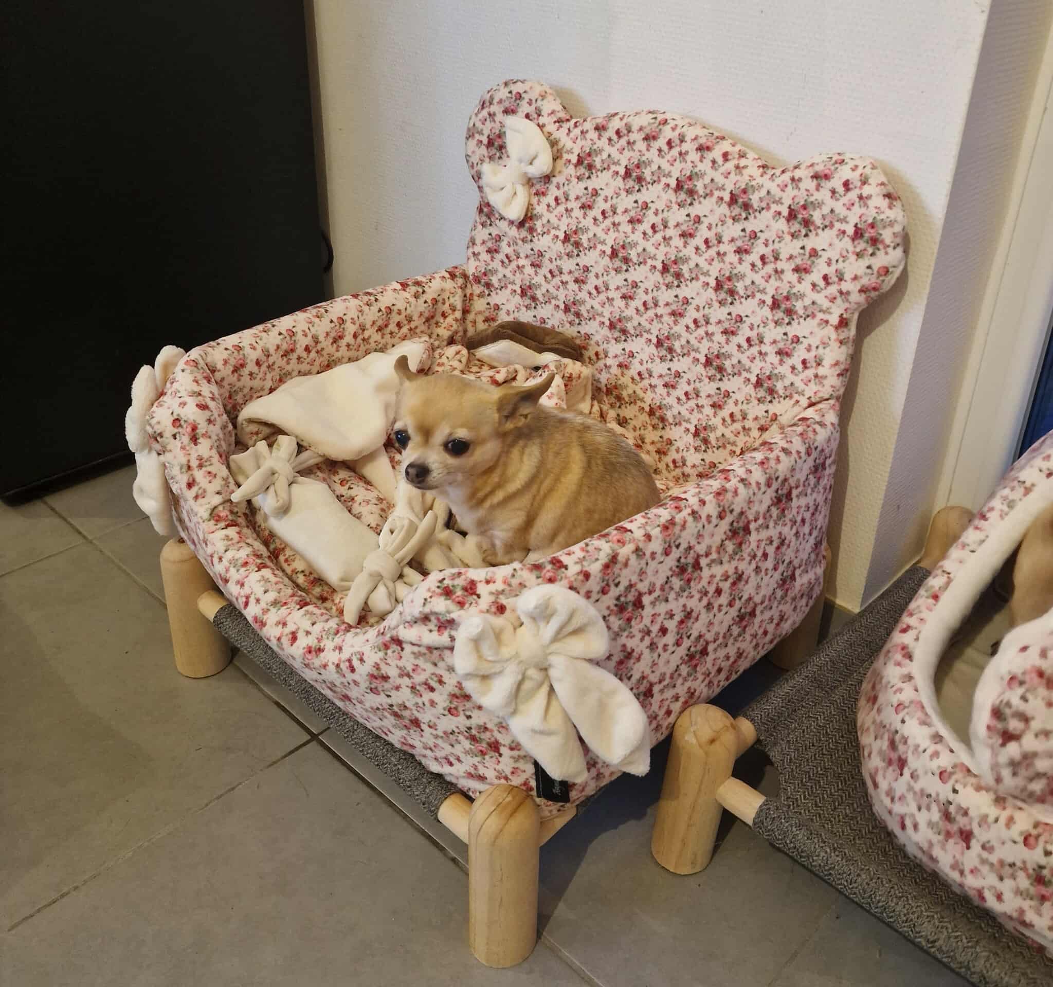 Received 1249890187090817