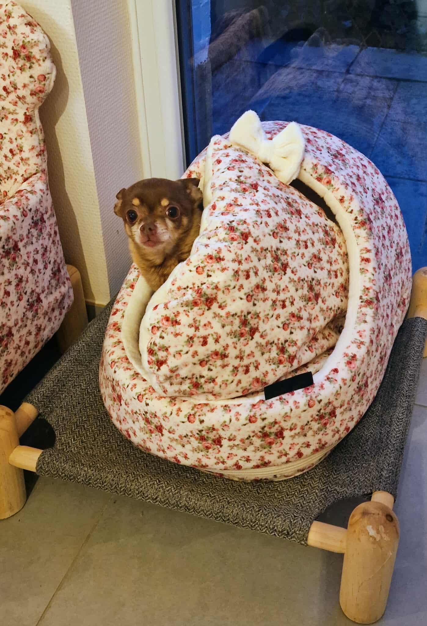 Received 1283432613637737