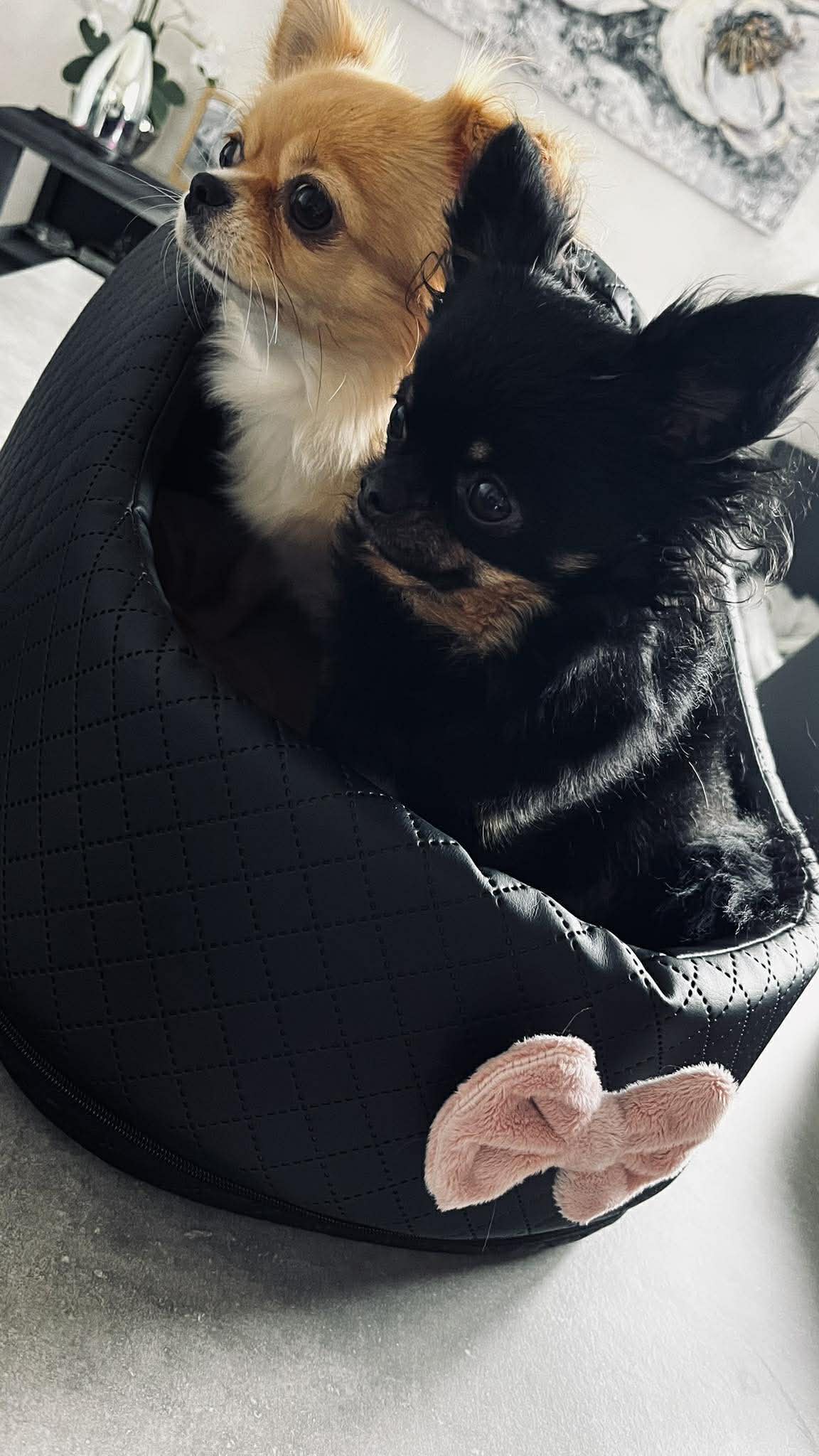 Received 743021458691992