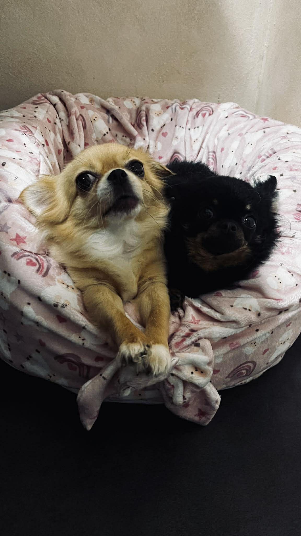 Received 1561819115114100