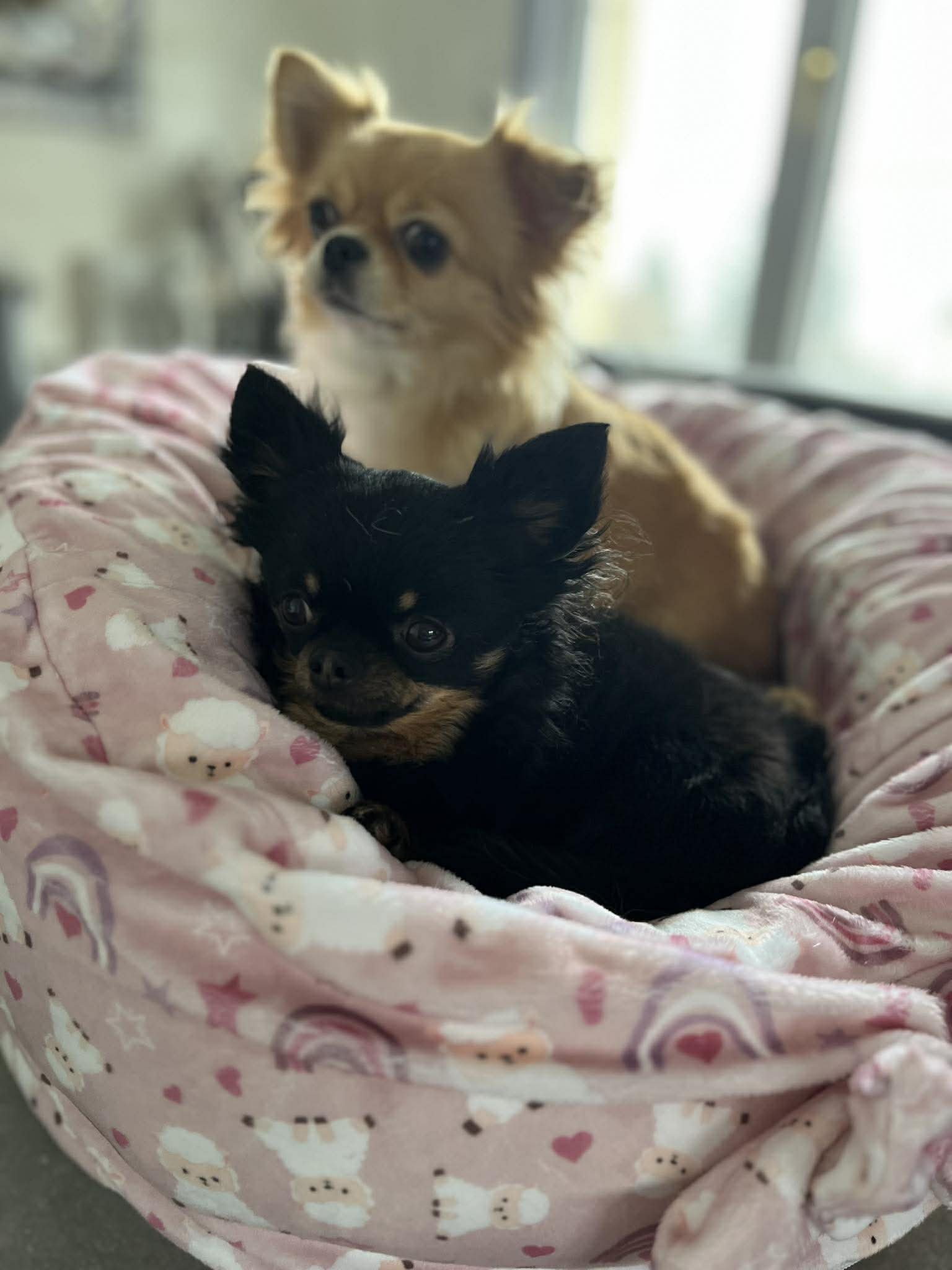 Received 791180786746744