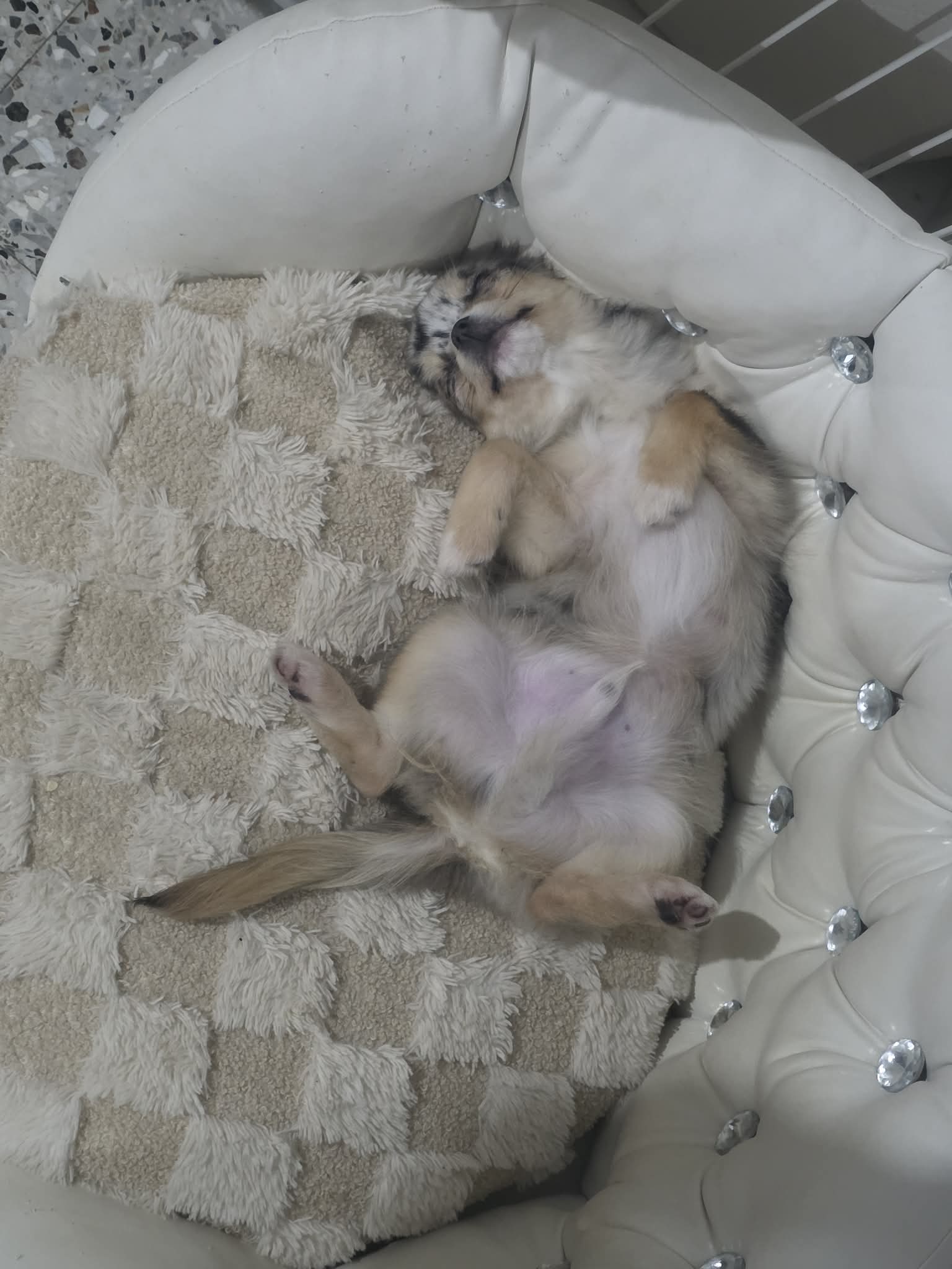 Received 842860475467700