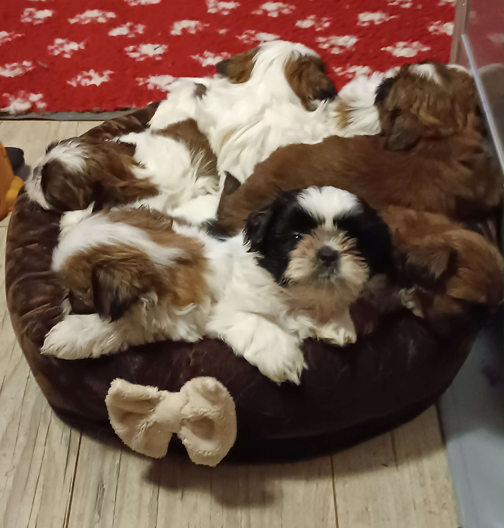 Received 1988374448384381