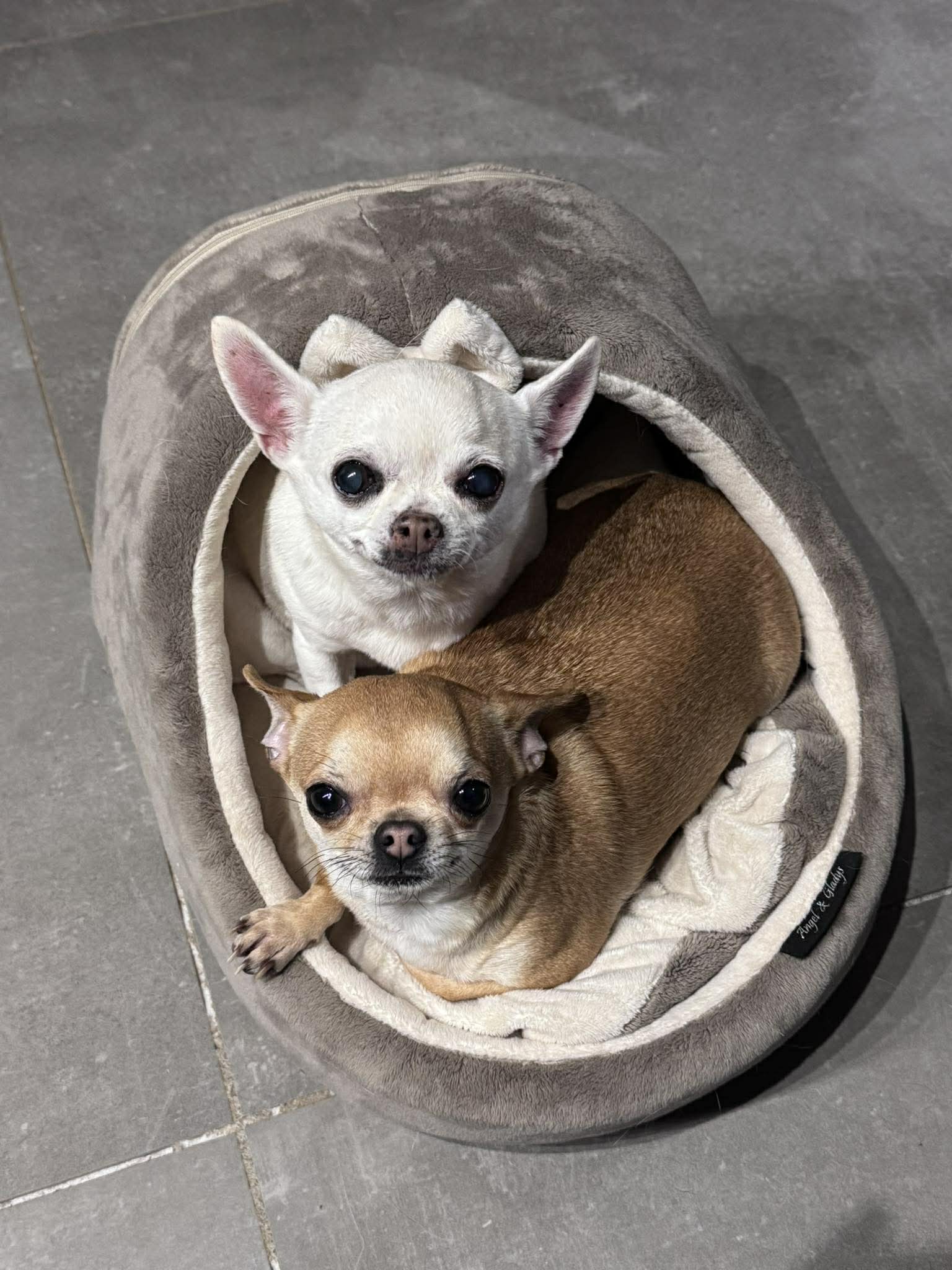 Received 2054053941803758