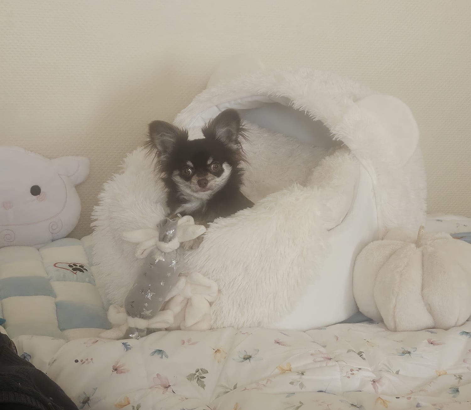 Received 1839214470801082