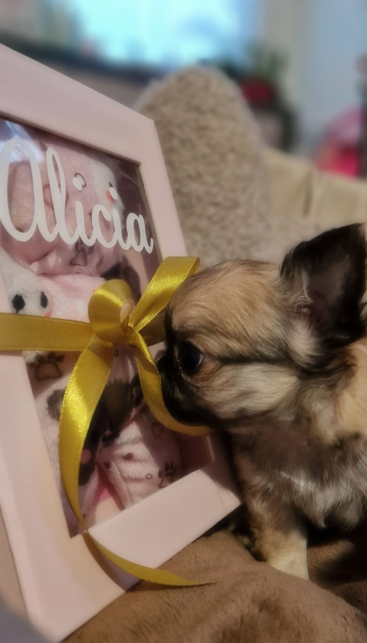 Received 924063630373299