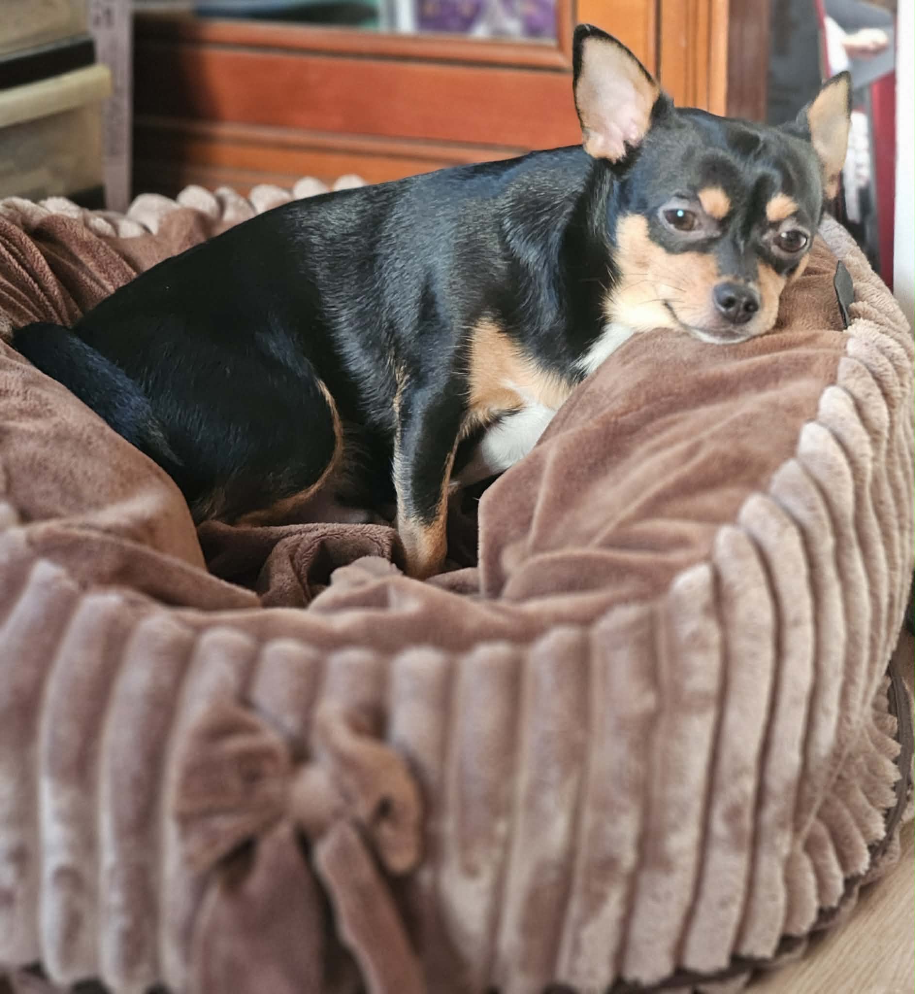 Received 2080419792736914