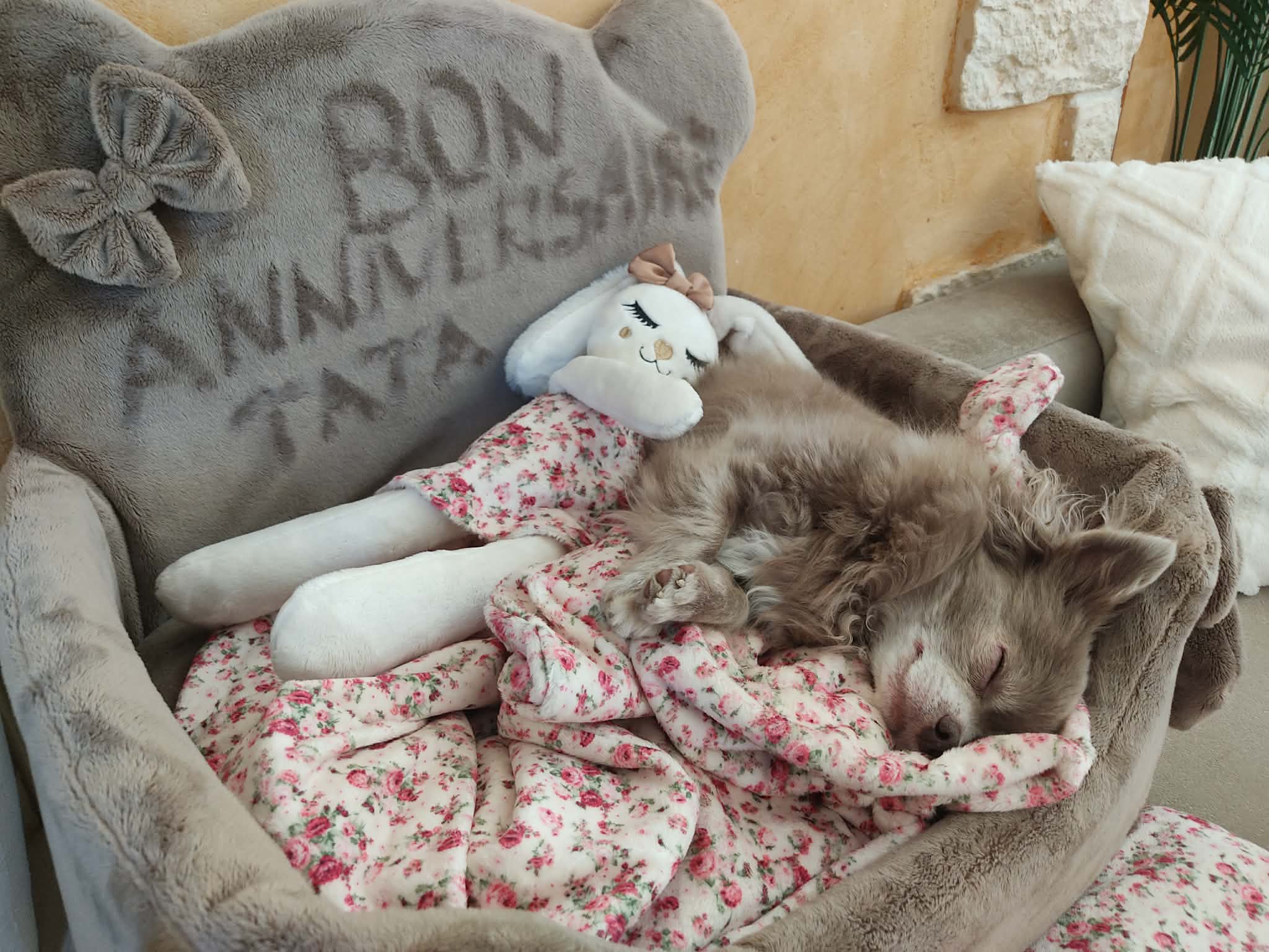 Received 2410942562698998