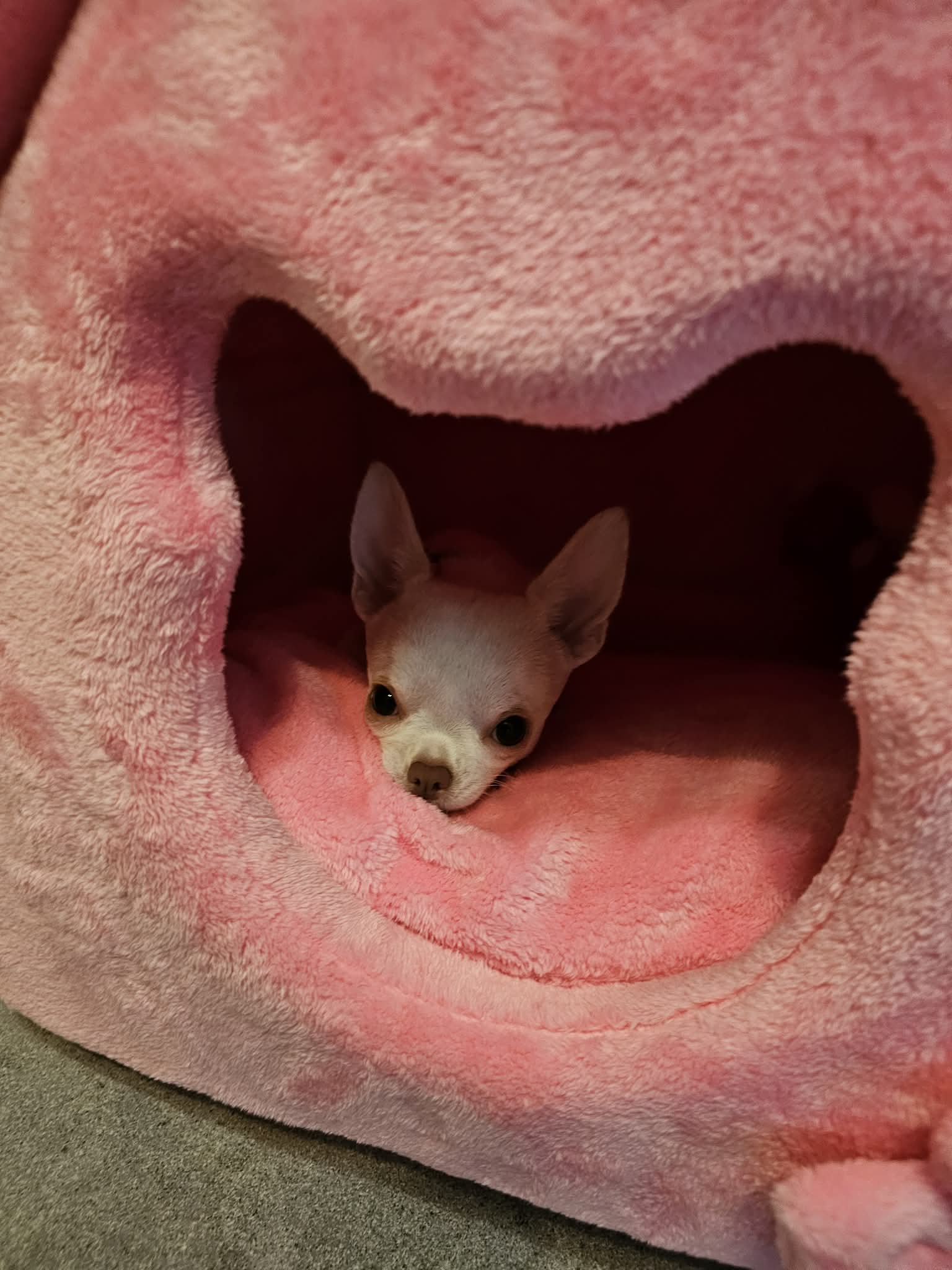 Received 916646394072610