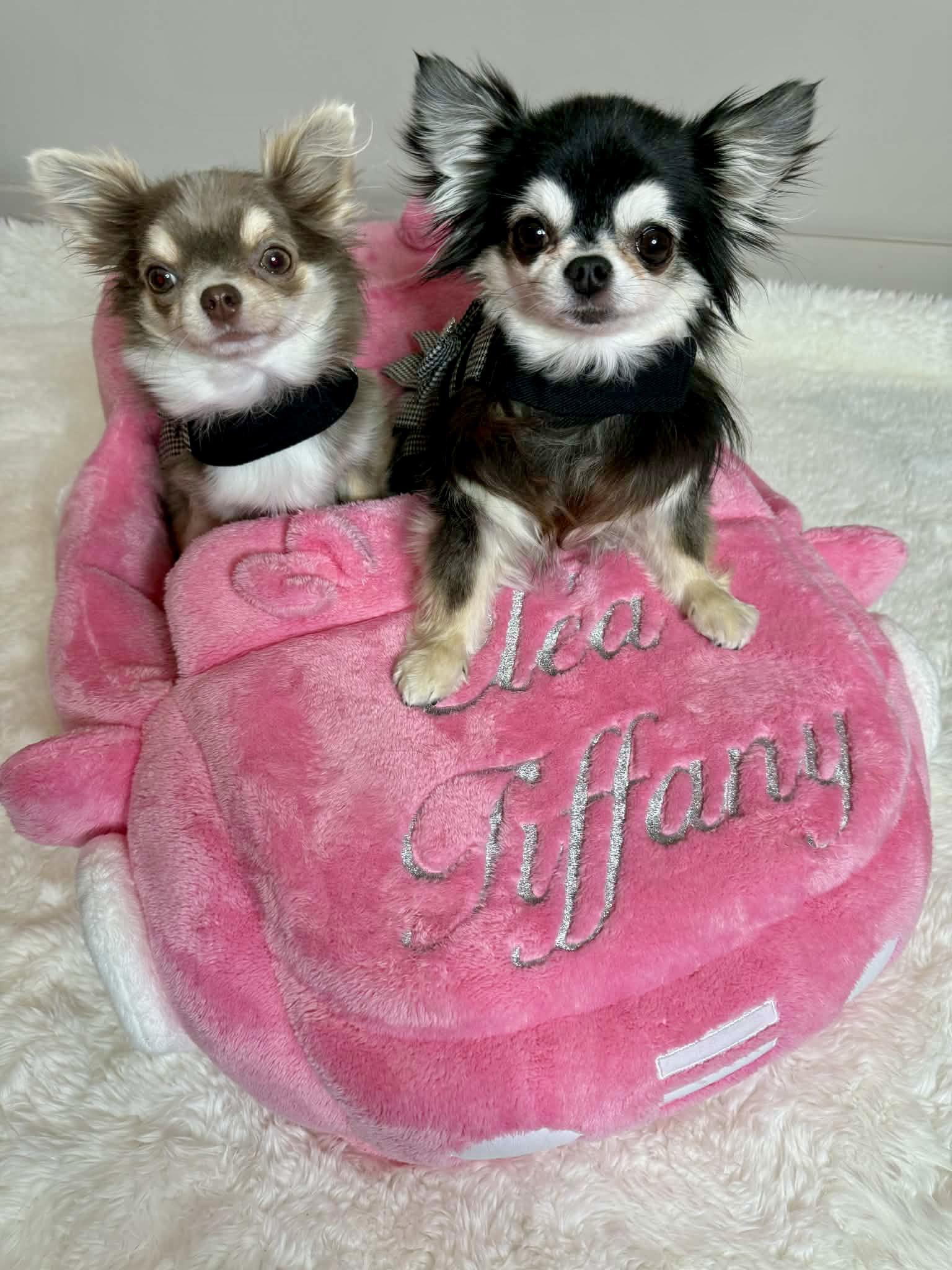 Received 1238567144919698