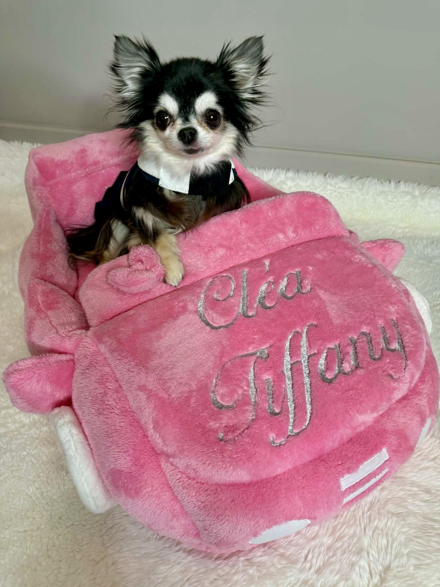 Received 2078978052960999