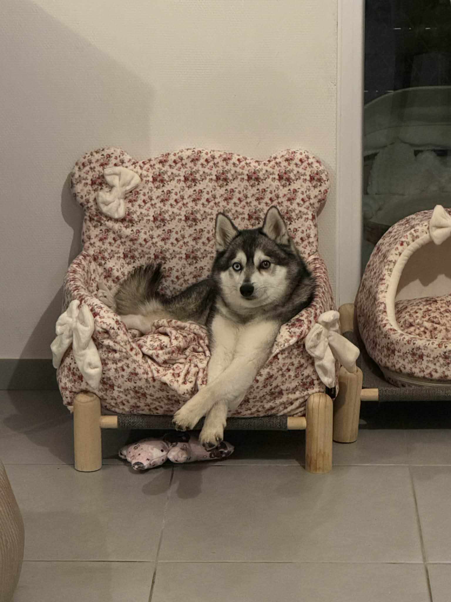 Received 1434558478324012