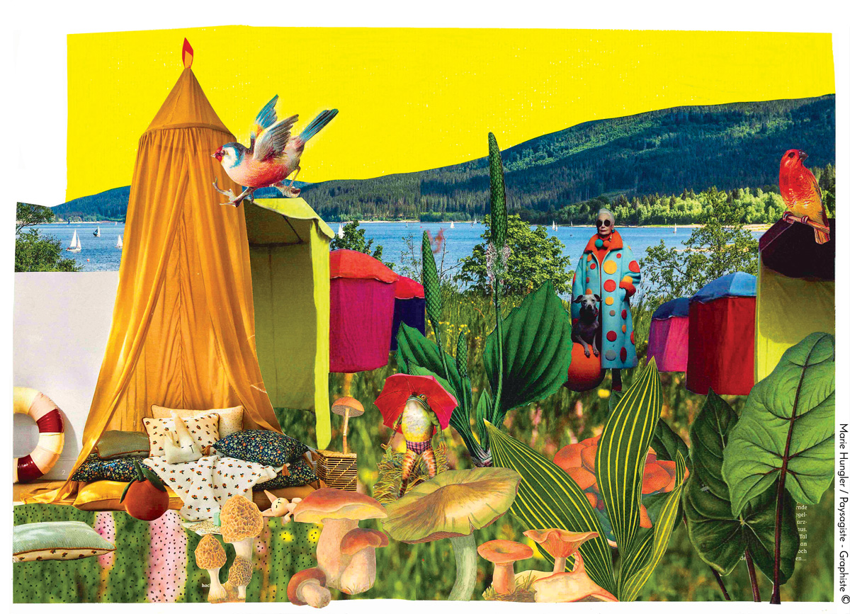 Un-coin-a-champignons-BD