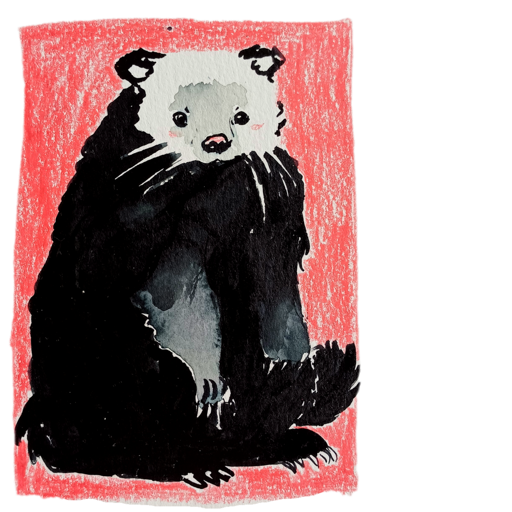 Loutre