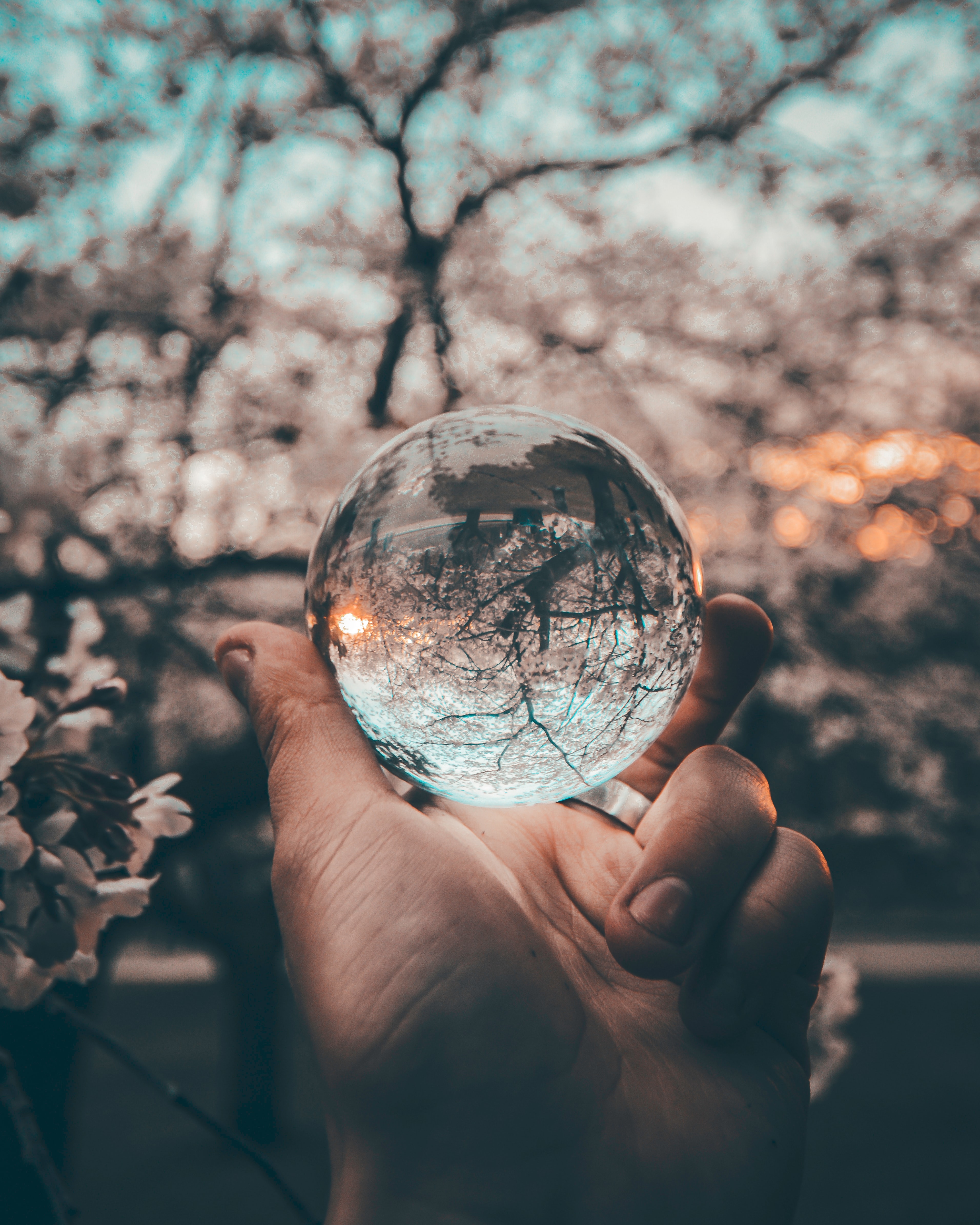 Yeshi-kangrang-iuqxv7kFj64-unsplash