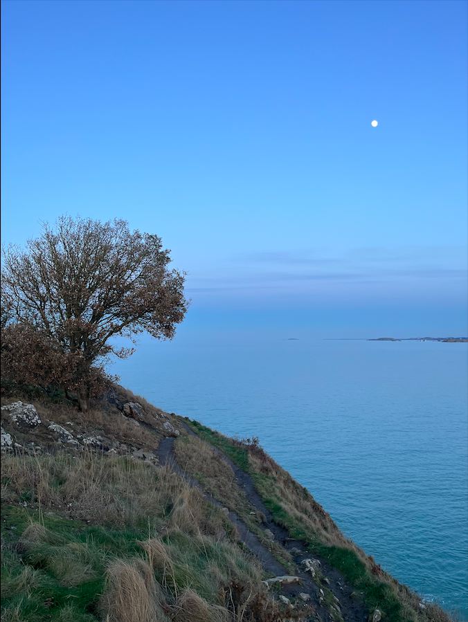 Capture d e cran 2026 03 07 a 15 36 41