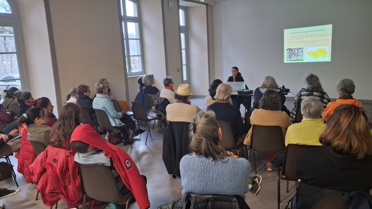 20260307 175216-small