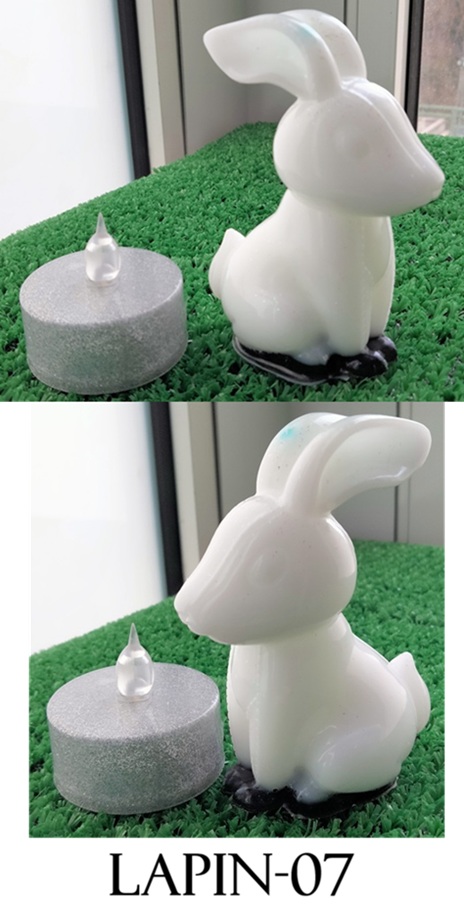 Lapin07
