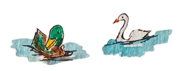 Rennes-canard