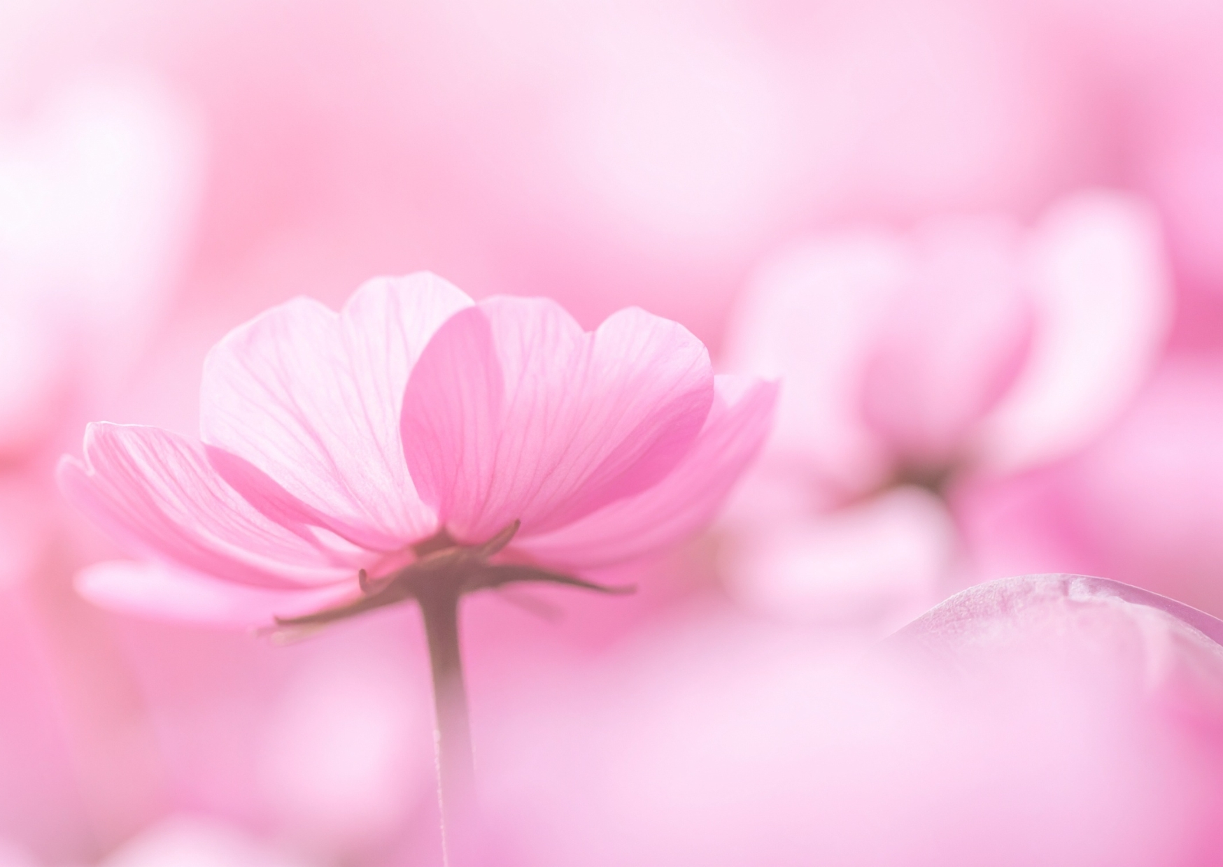 Troisième jour sans Facebook…