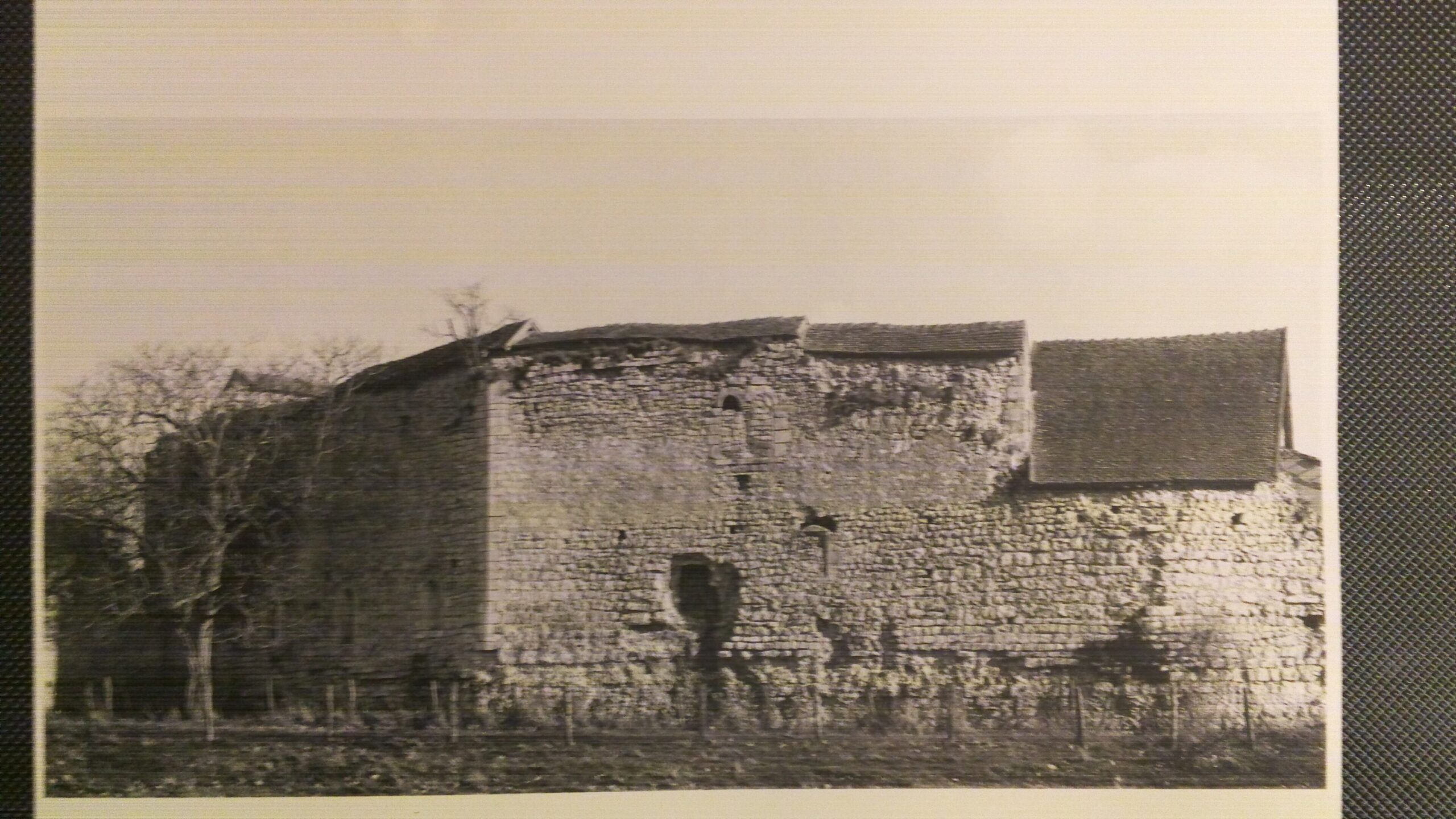 Img 20171026 190009 edited scaled