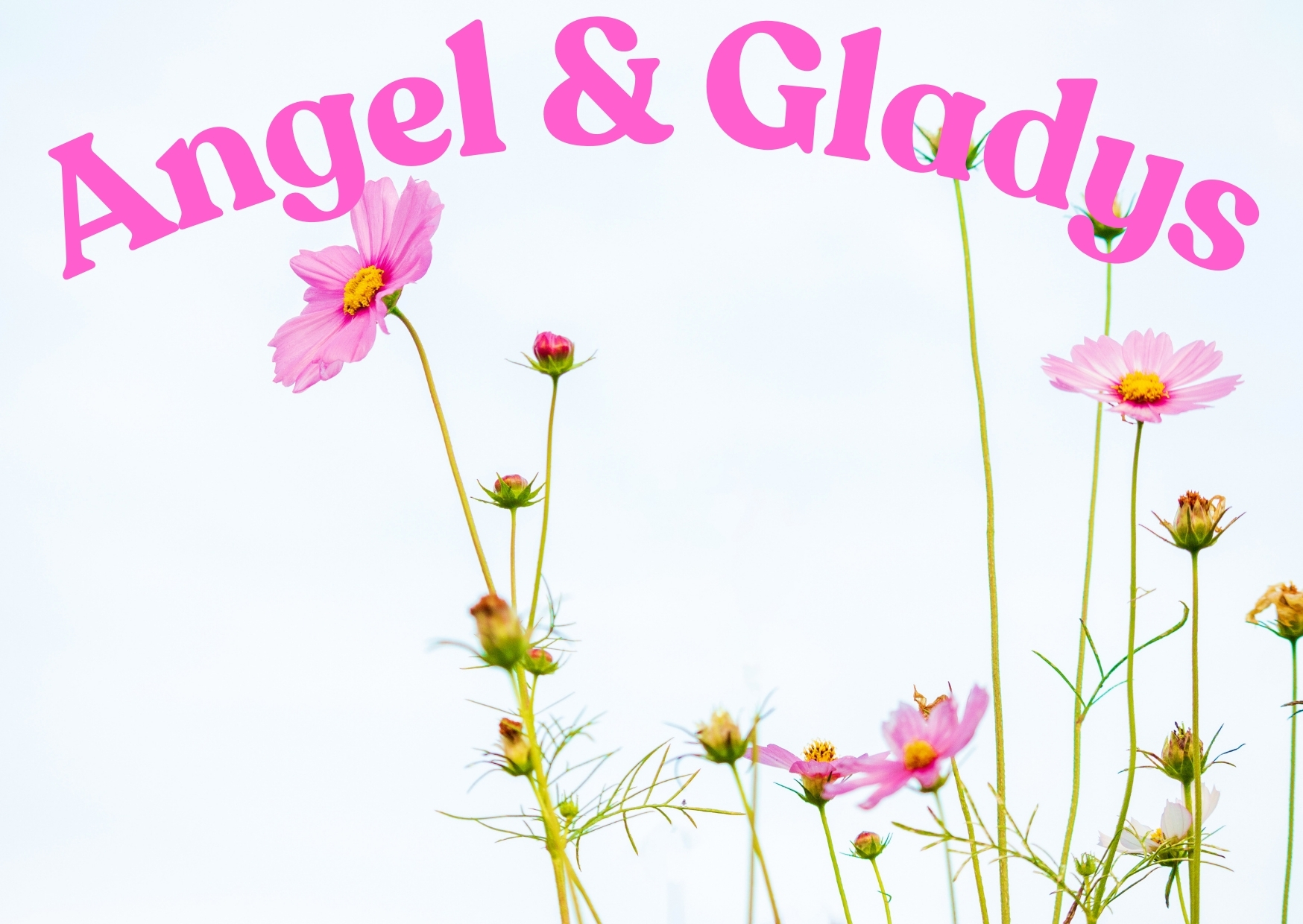 ✨ Bonjour depuis l’atelier